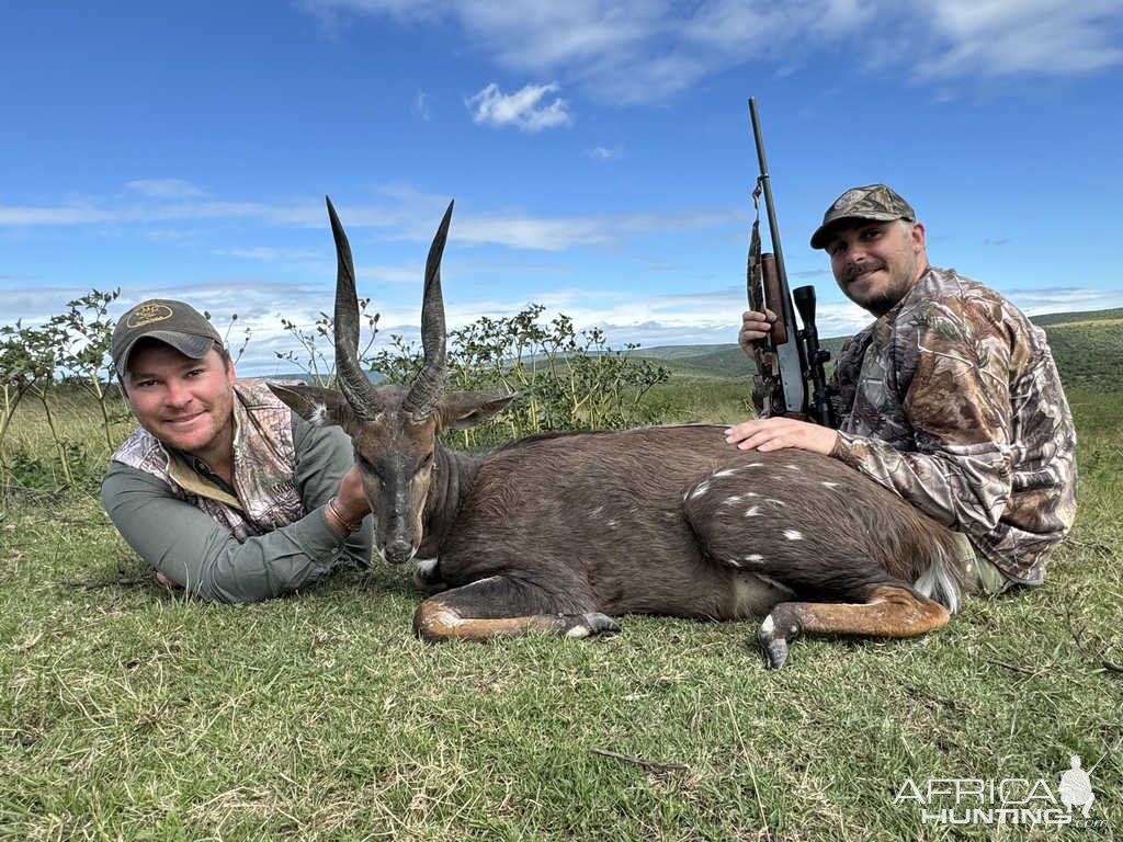 Cape Bushbuck Hunt Eastern Cape South Africa