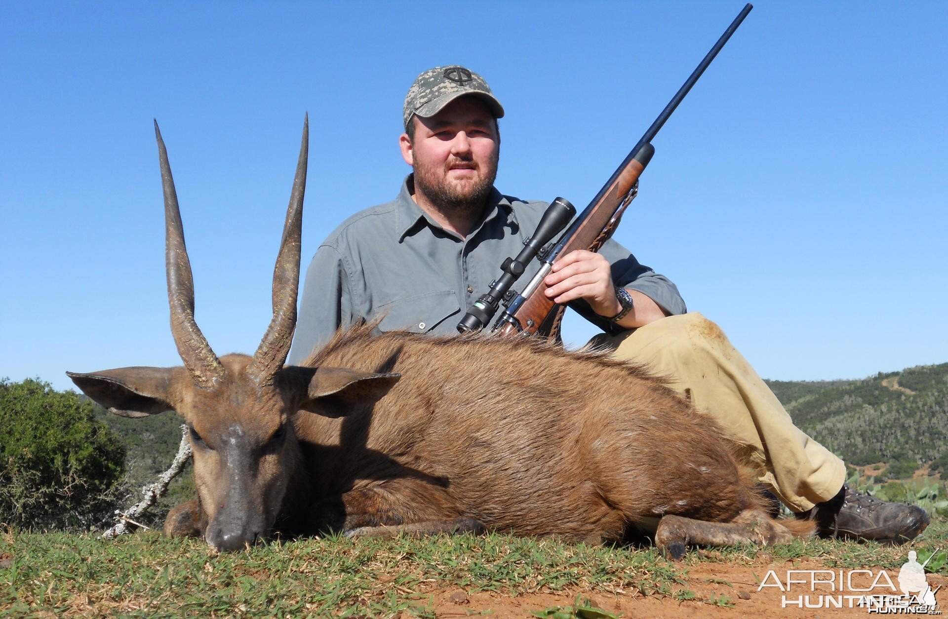 Cape Bushbuck hunt in South Africa