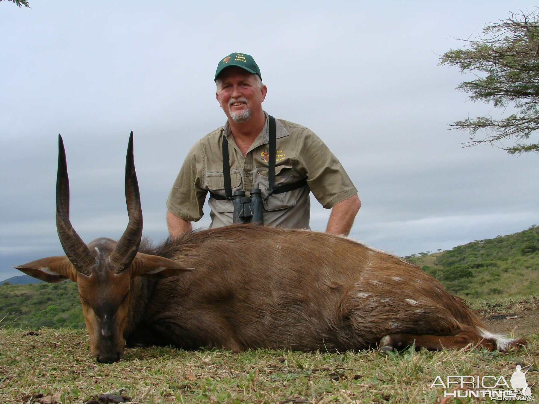 Cape Bushbuck Kwa Zulu Natal, SA 2007