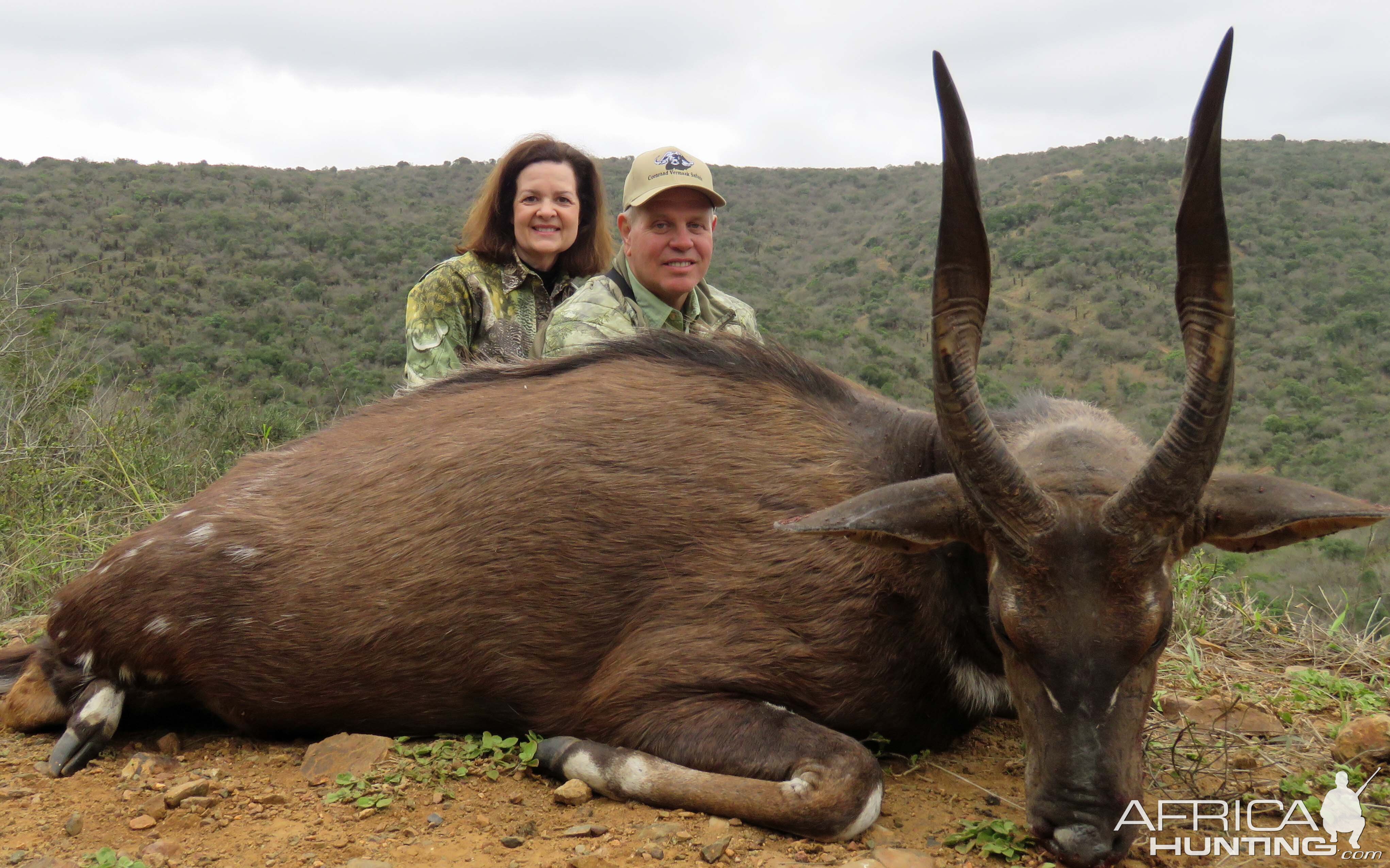 Cape Bushbuck, Kwa Zulu Natal