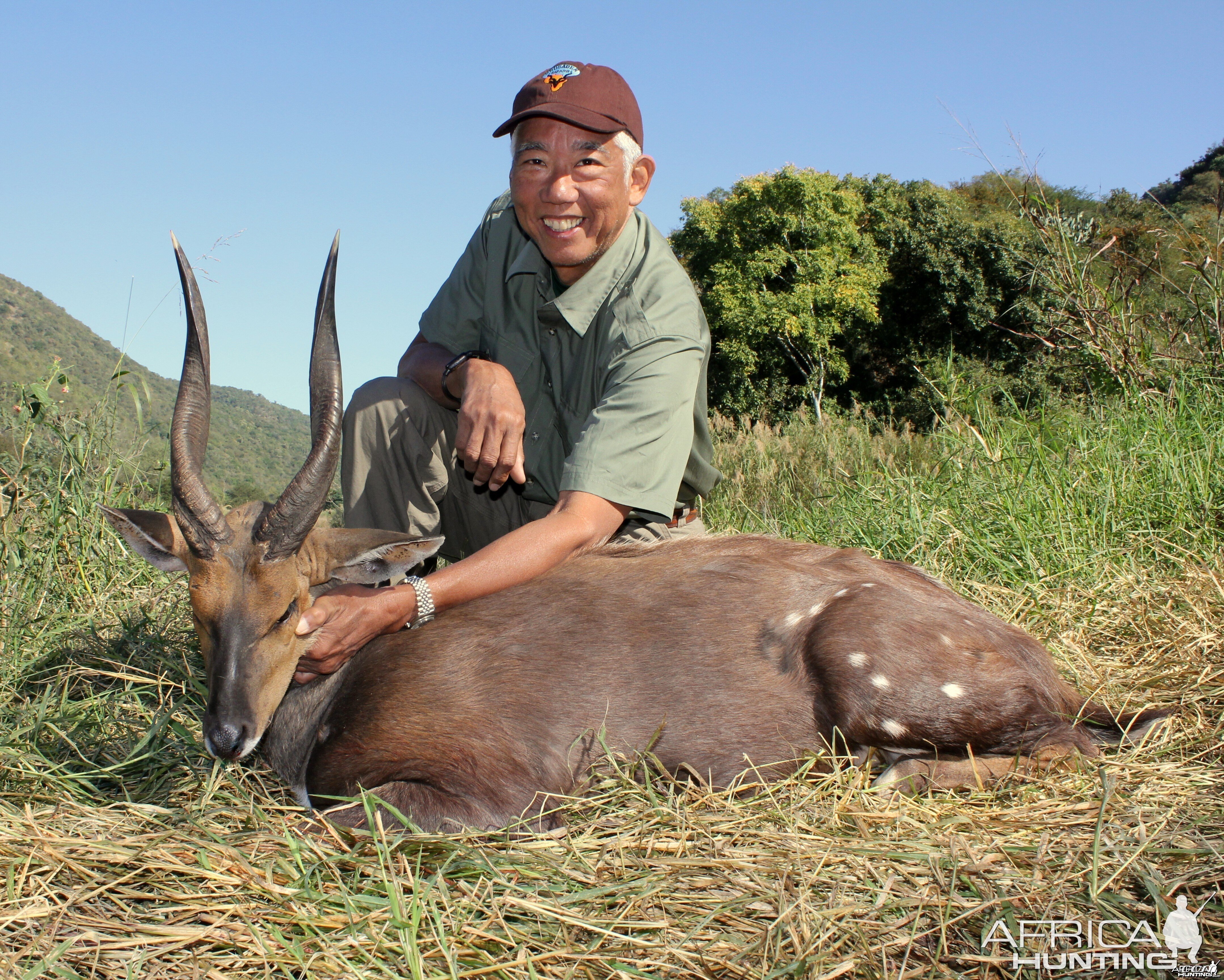 Cape bushbuck with Crusader Safaris