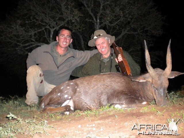 Cape Bushbuck with Leeukop Safaris