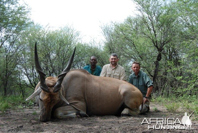 Cape Eland hunt in Limpopo RSA - 36 1/2 inches