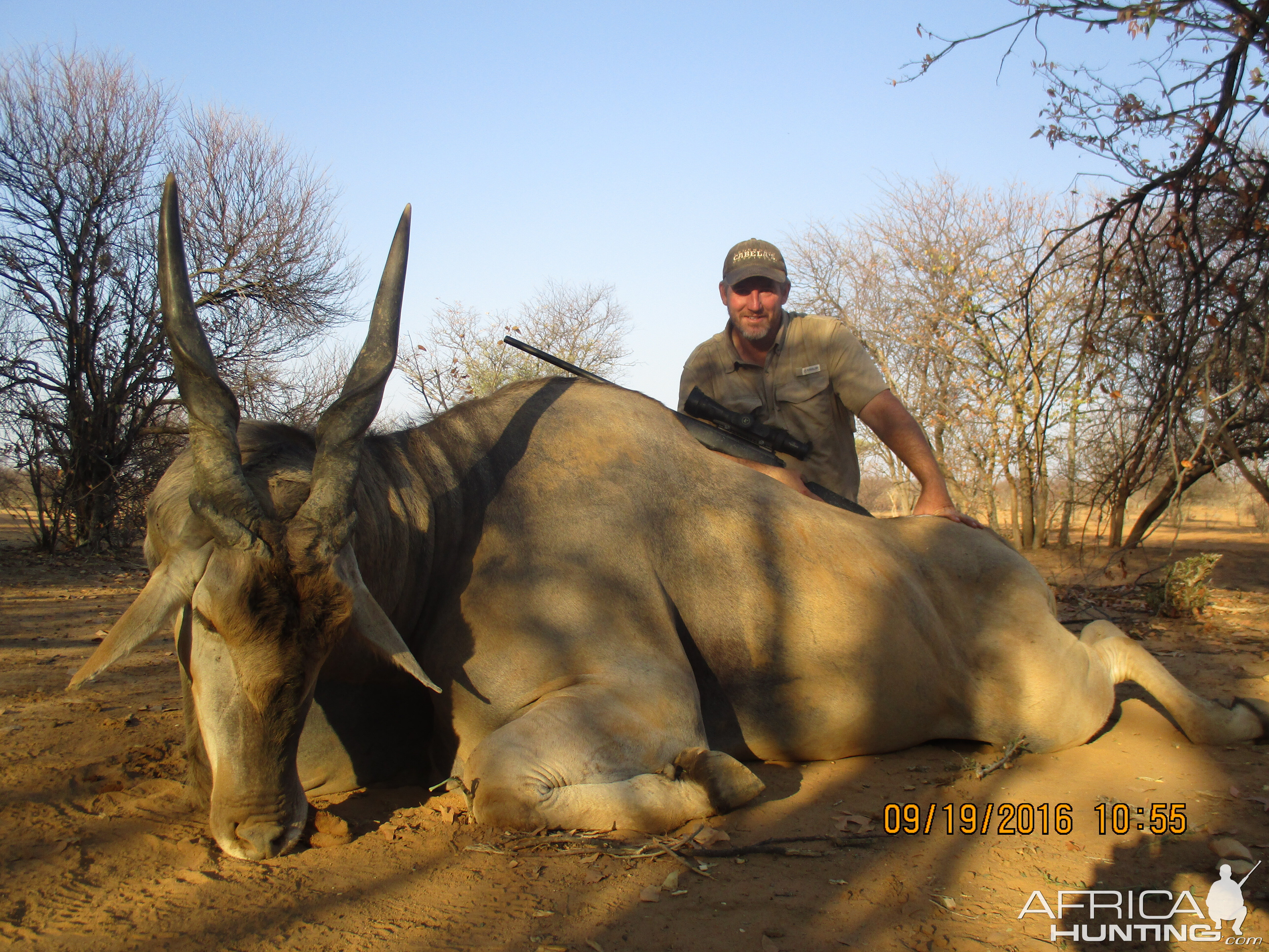 Cape Eland Hunt Namibia