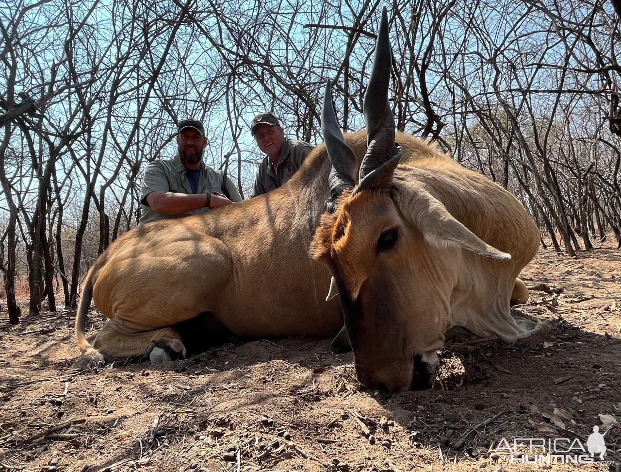 Cape Eland hunt North West Province