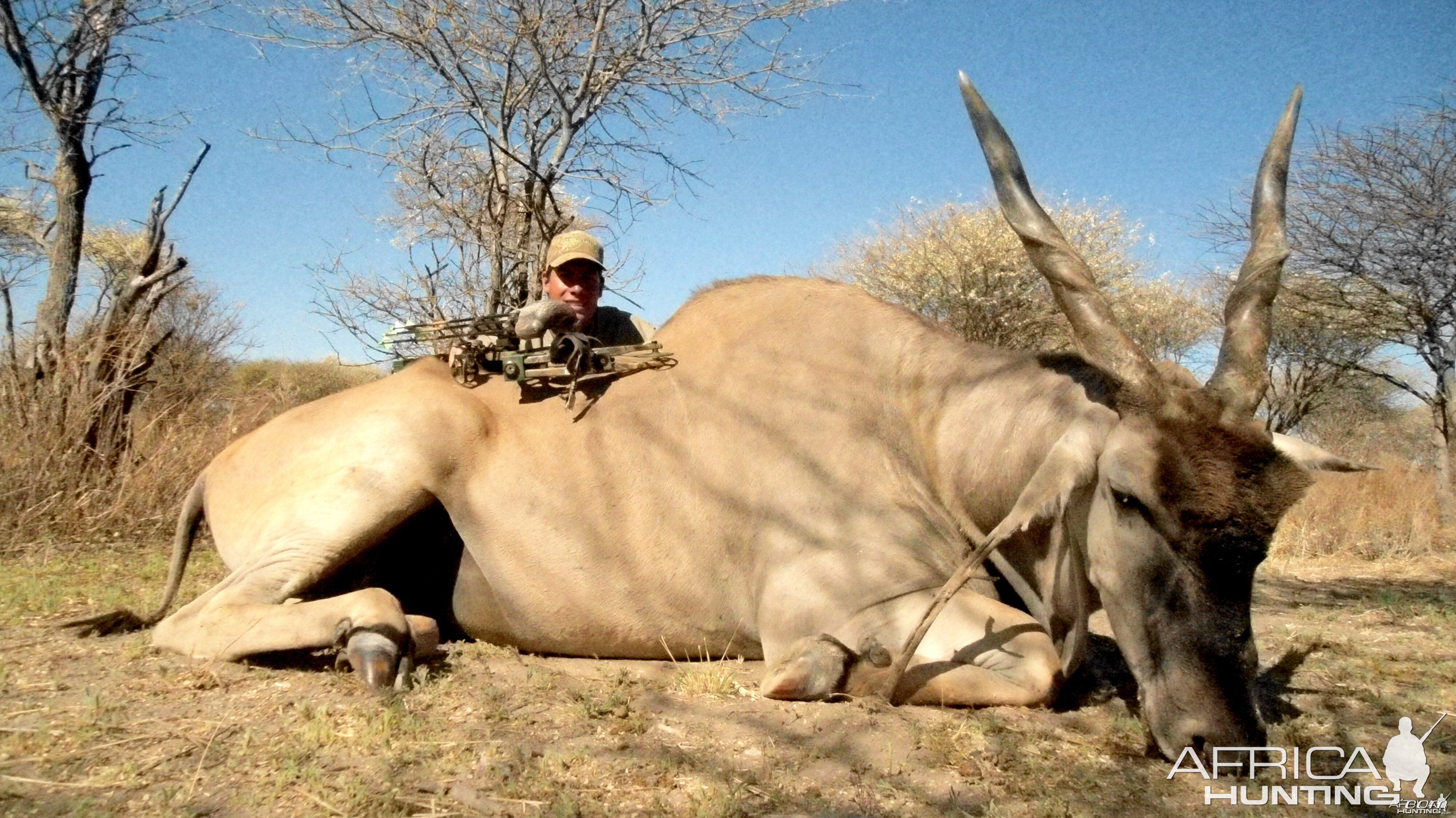 Cape Eland hunted with Ozondjahe Hunting Safaris in Namibia