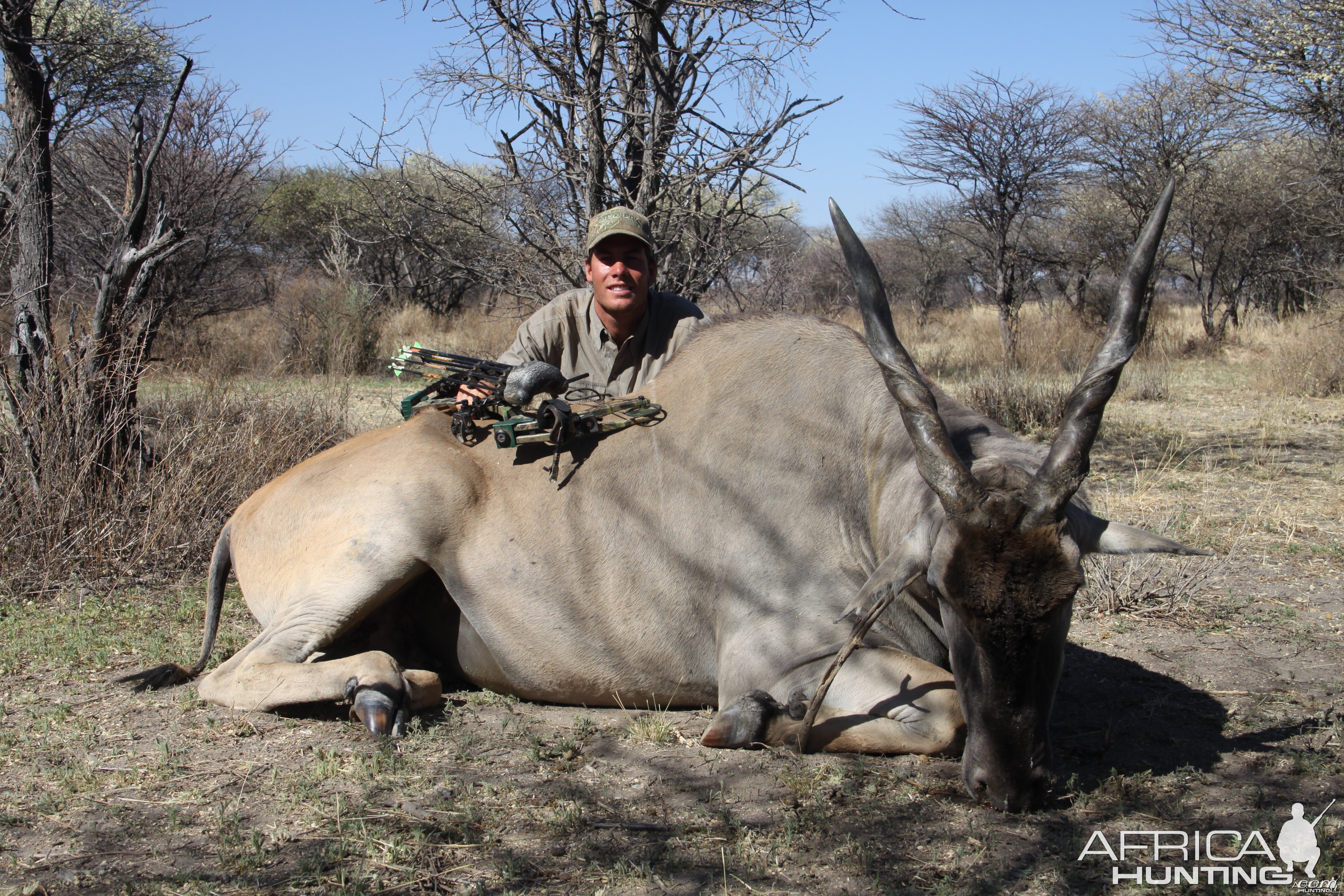 Cape Eland hunted with Ozondjahe Hunting Safaris in Namibia