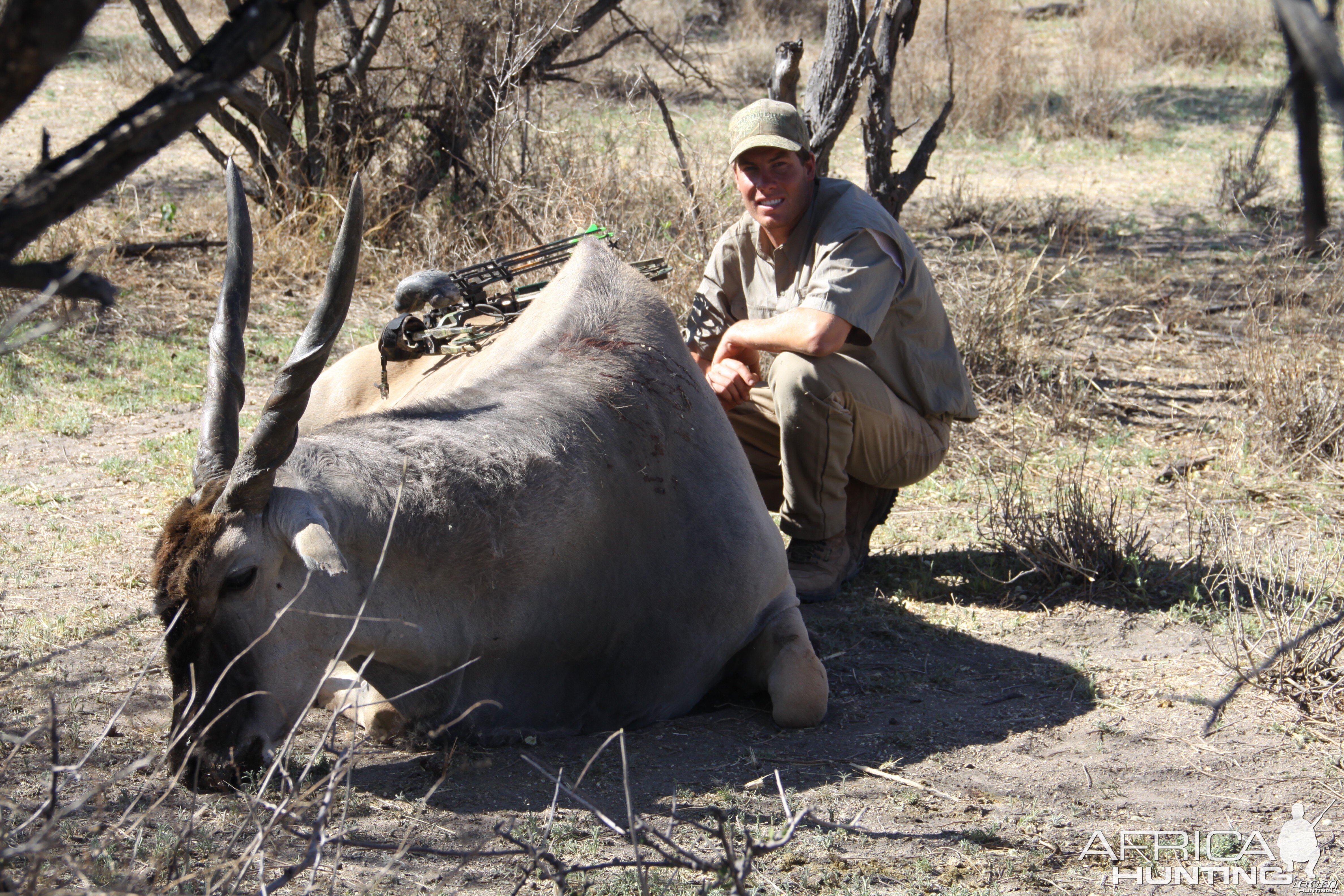 Cape Eland hunted with Ozondjahe Hunting Safaris in Namibia