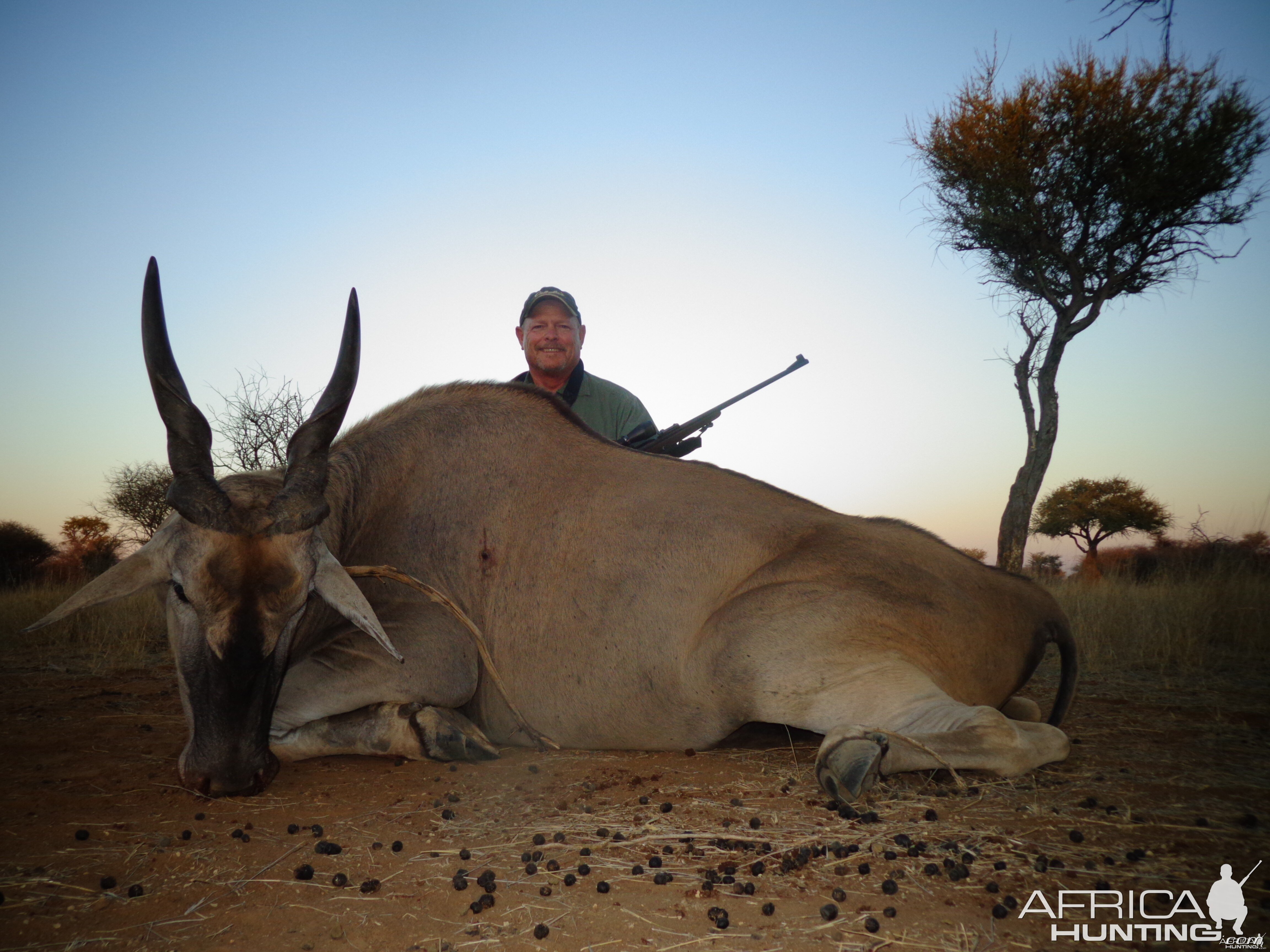 Cape Eland hunted with Ozondjahe Hunting Safaris in Namibia