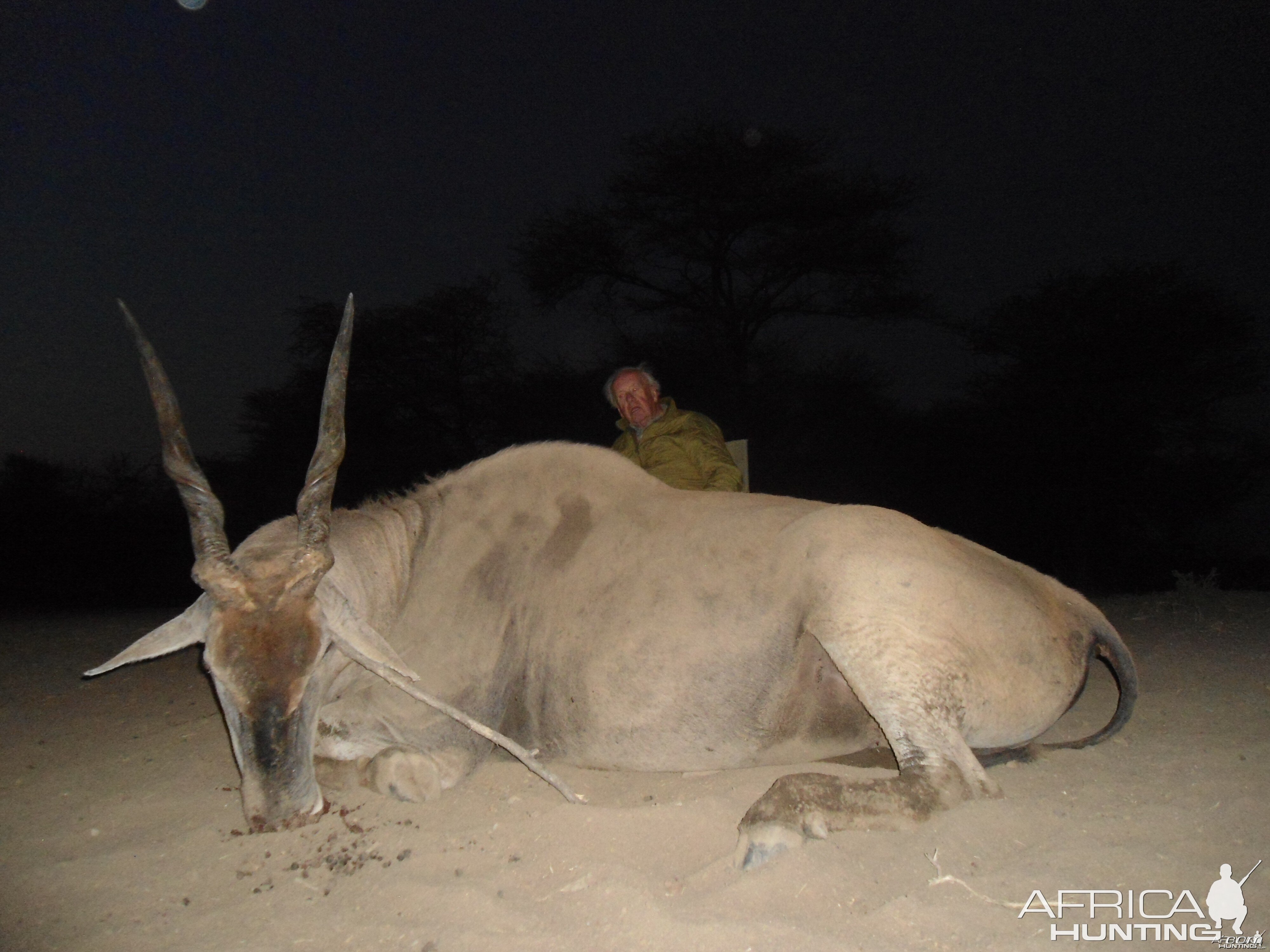 Cape Eland hunted with Ozondjahe Hunting Safaris in Namibia