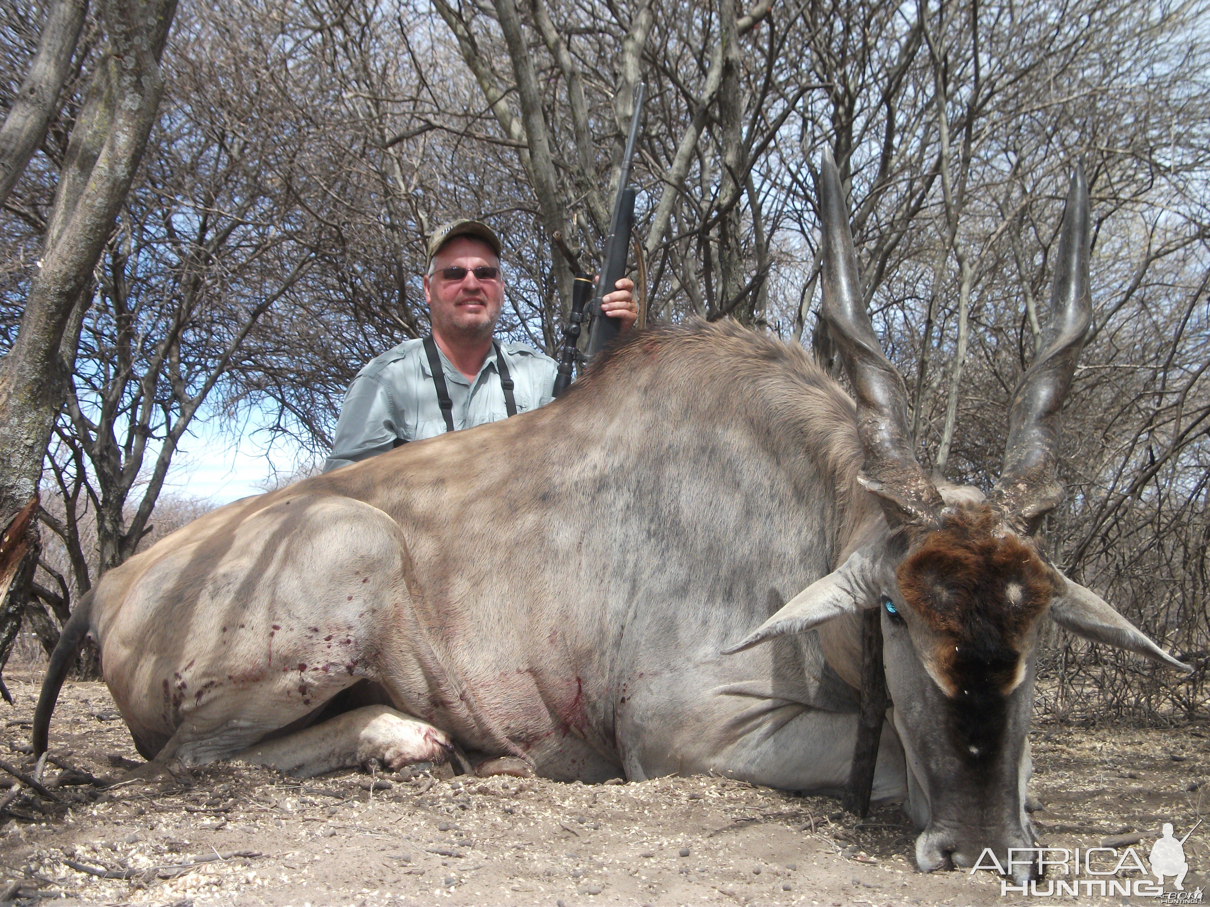 Cape Eland hunted with Ozondjahe Hunting Safaris in Namibia