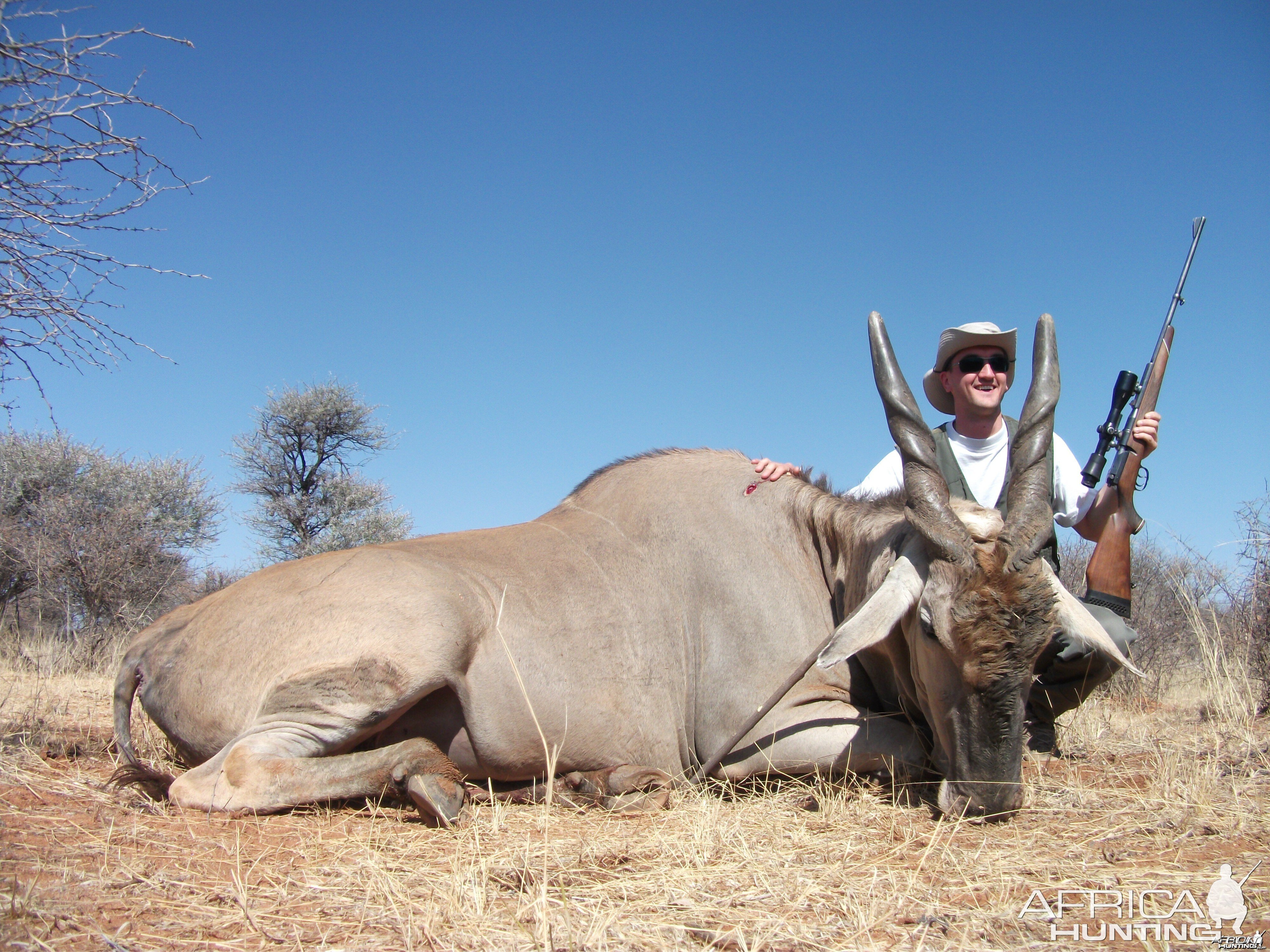 Cape Eland Hunting in Namibia