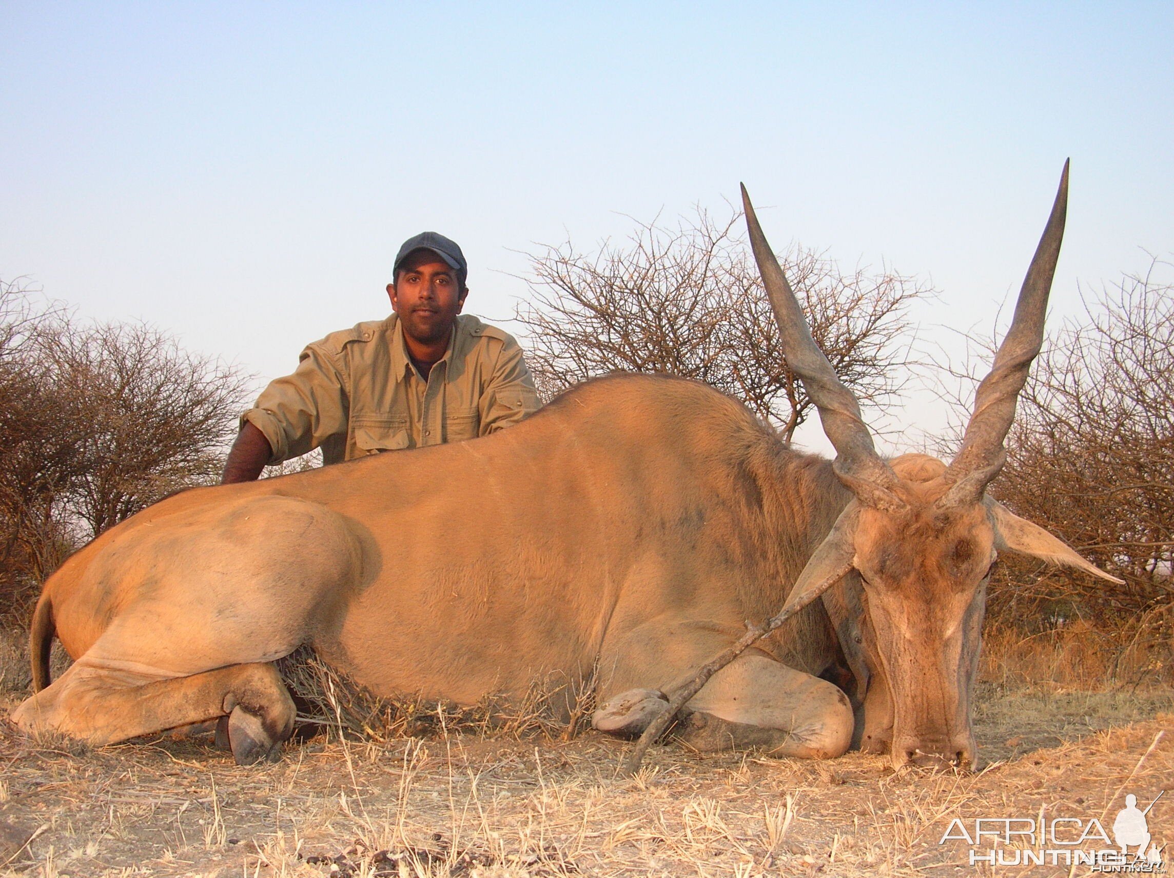 Cape Eland Hunting in Namibia