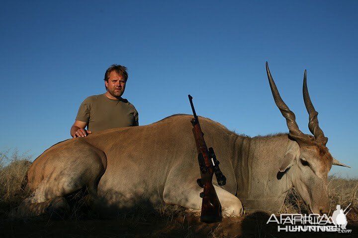 Cape Eland Namibia