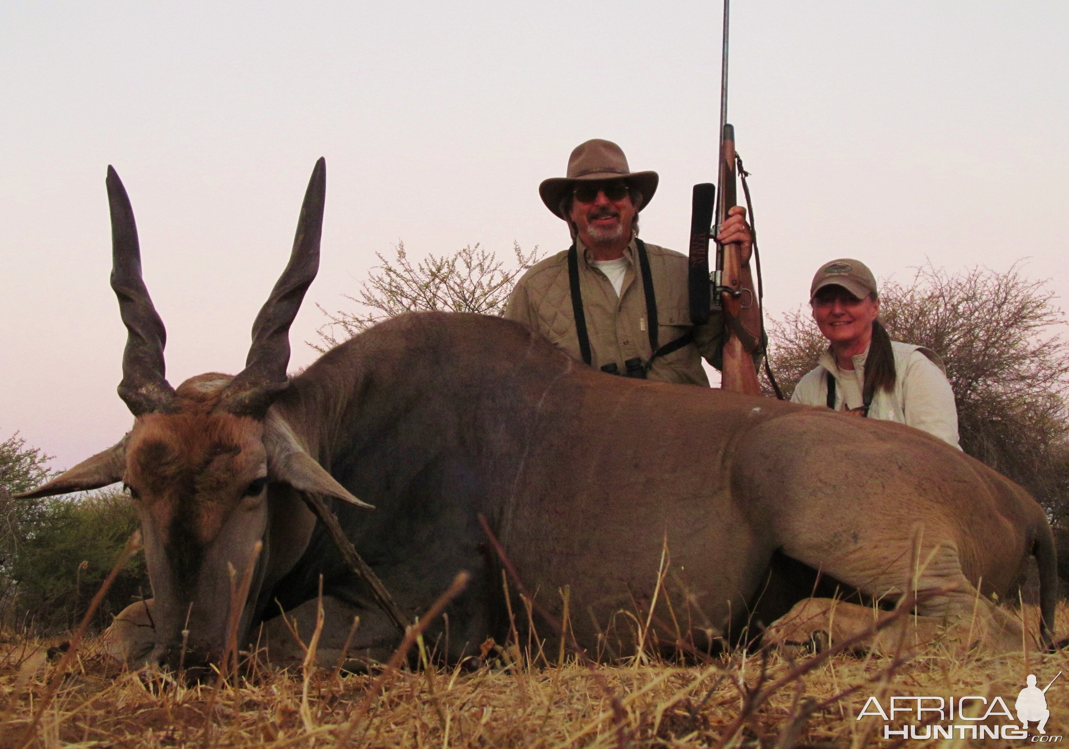 Cape Eland Namibia