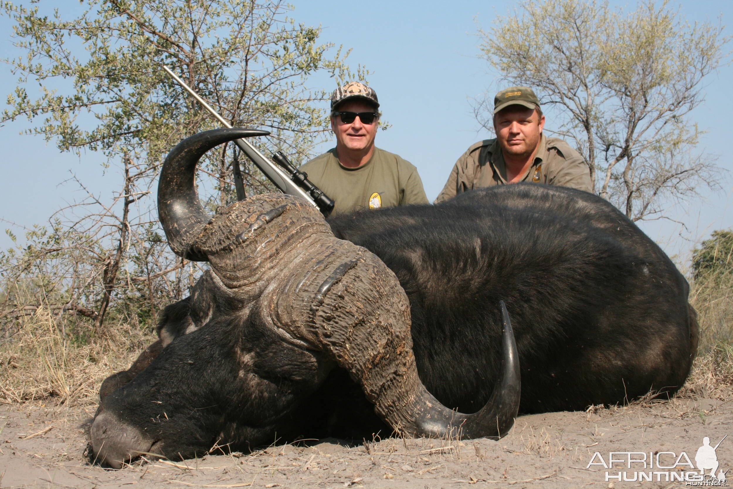 Caprivi buffalo hunt 2009