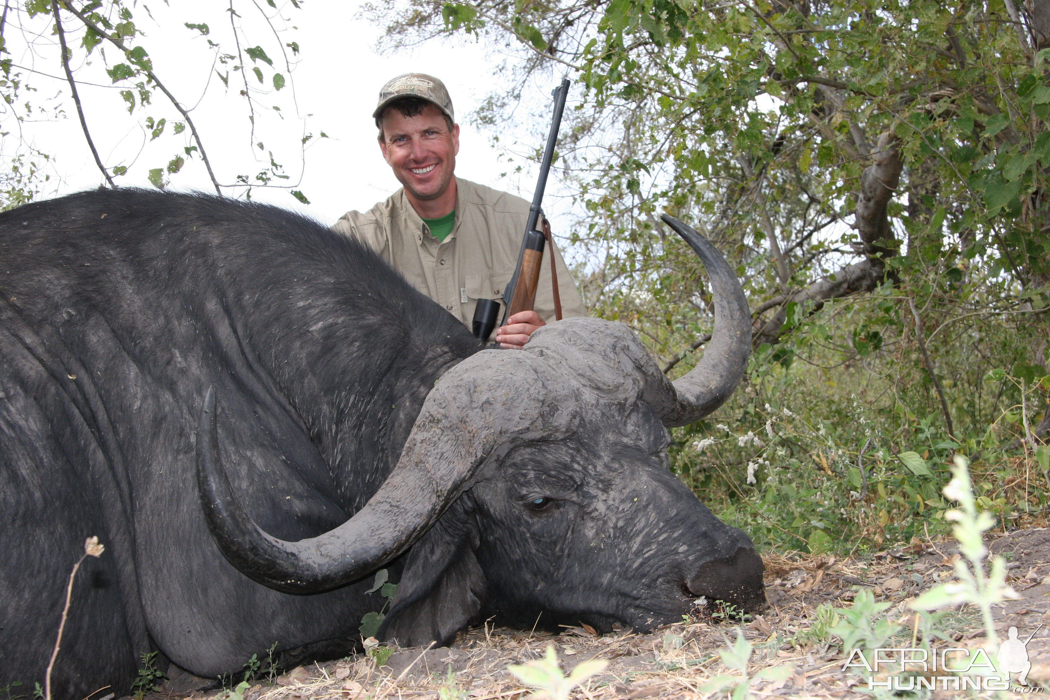 Caprivi Buffalo Namibia 2011