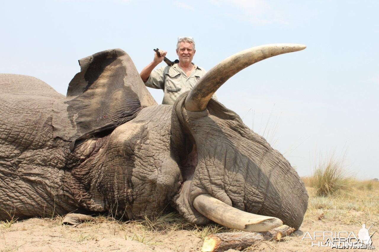 Caprivi Elephant Bull