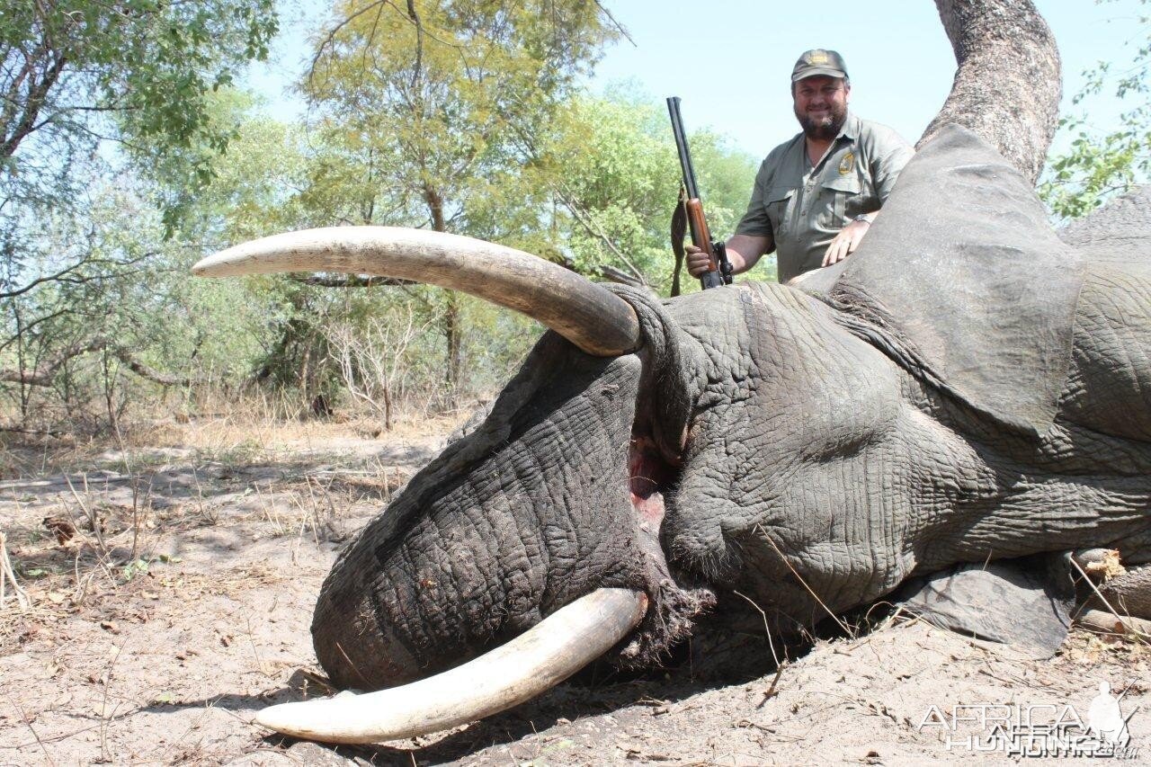 Caprivi Elephant