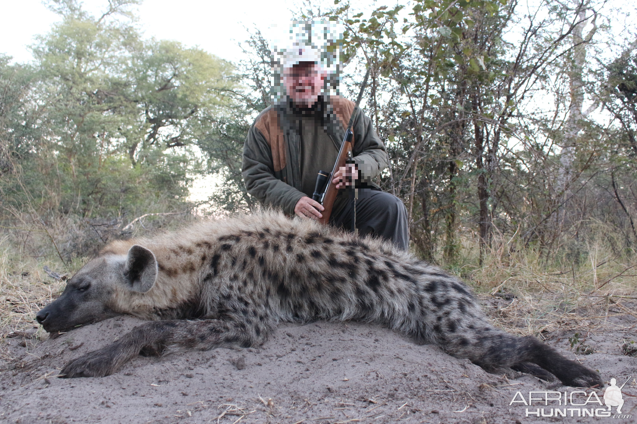 caprivi hyena