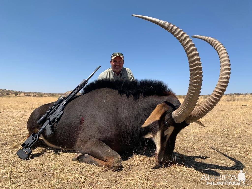 Caprivi Namibia Hunting Sable