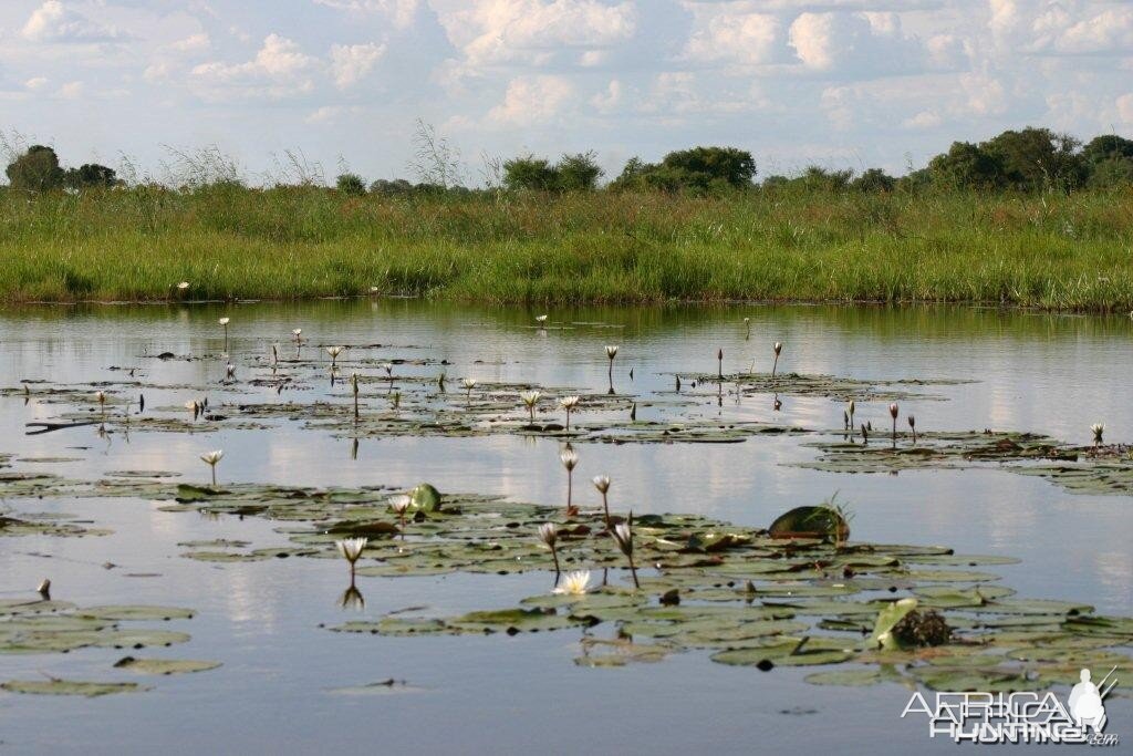 Caprivi Namibia