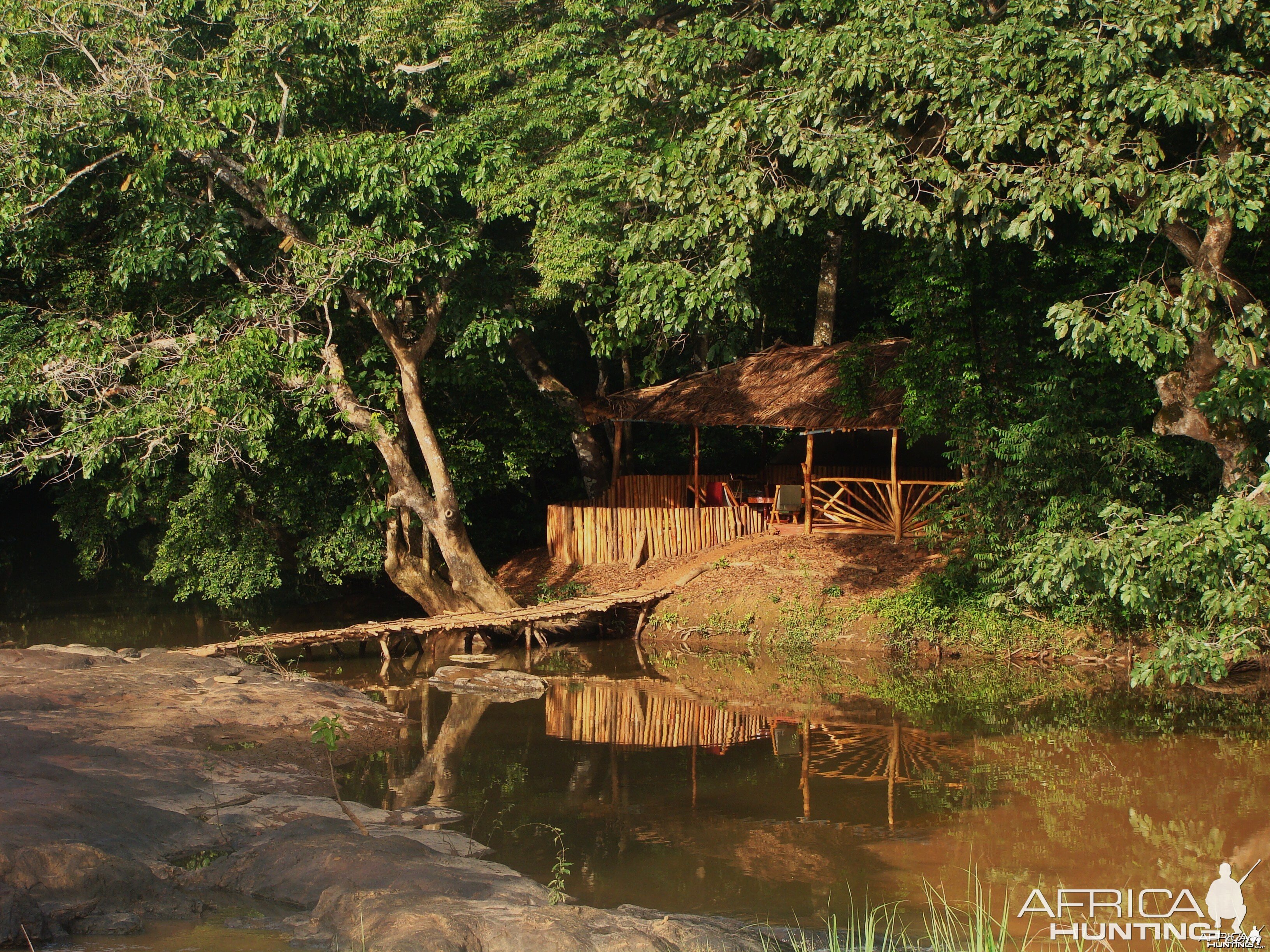 CAR with Central African Wildlife Adventures