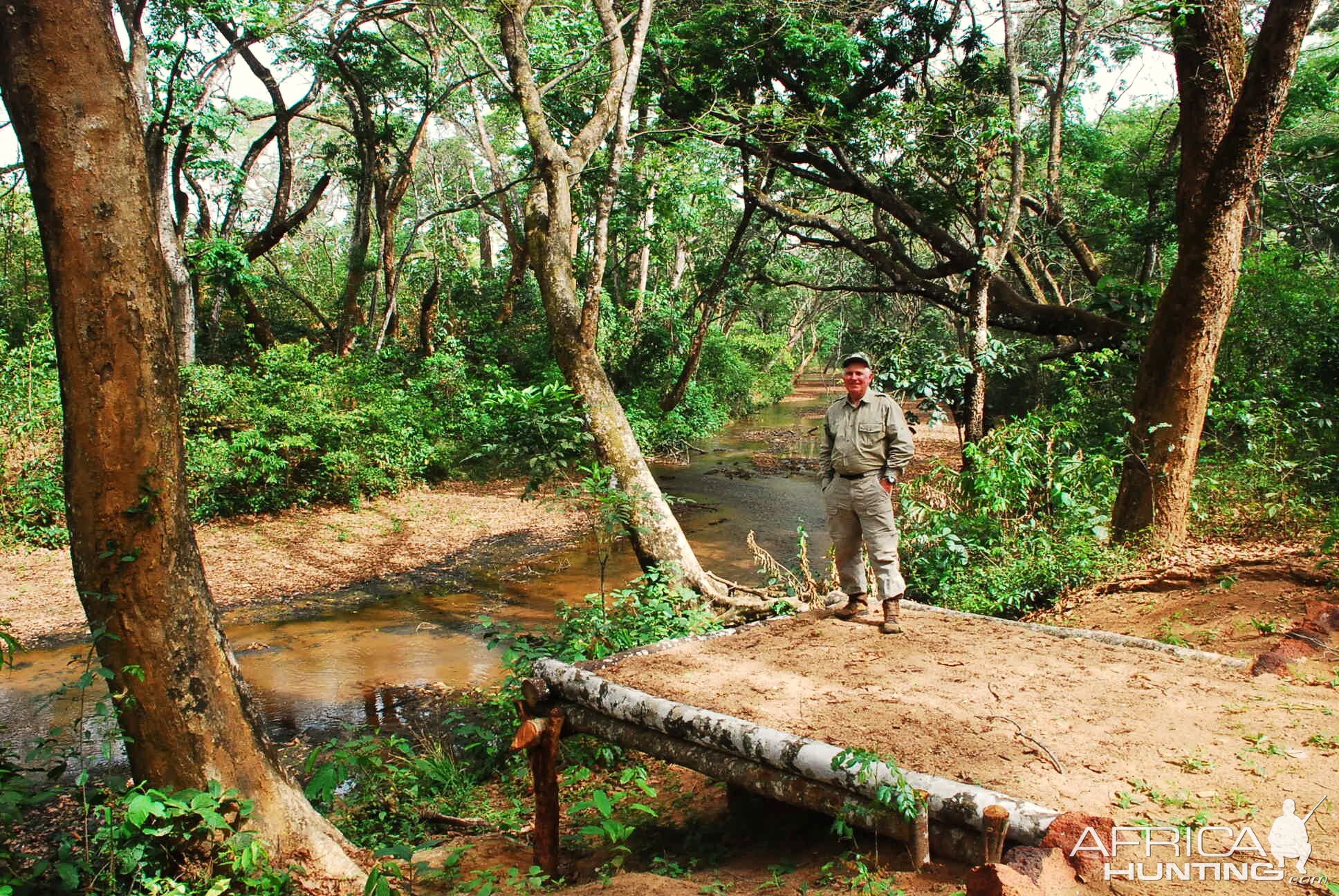 CAR with Central African Wildlife Adventures