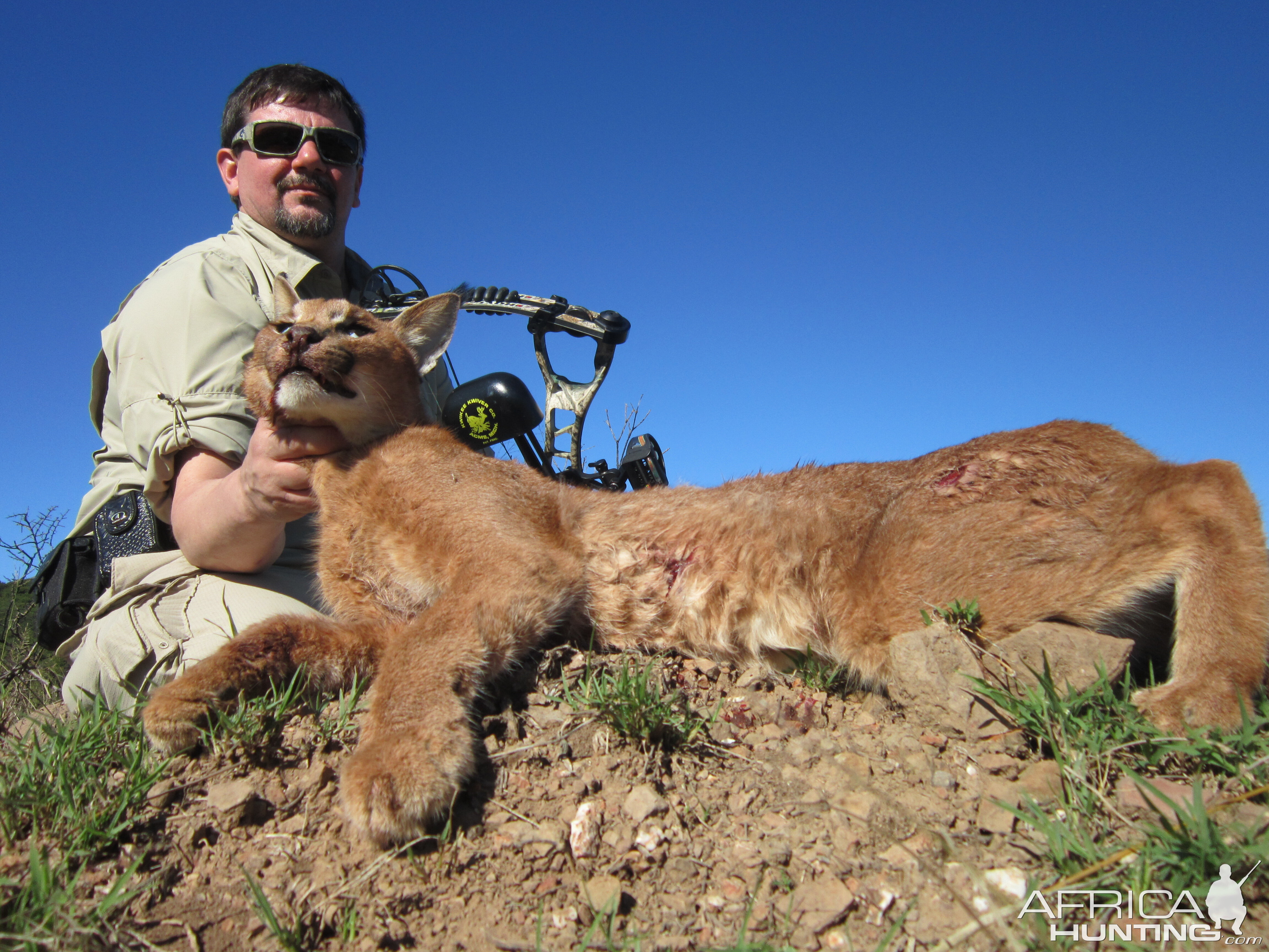 Caracal Bow Hunt South Africa