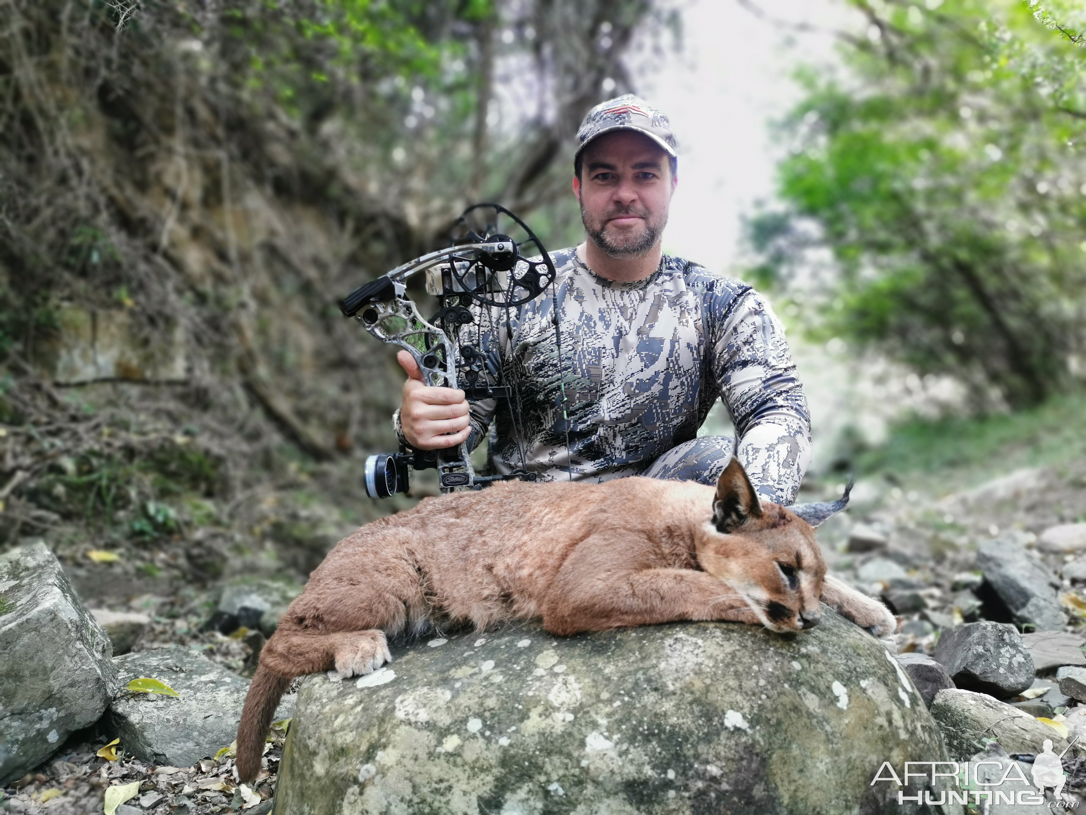 Caracal Bow Hunting South Africa