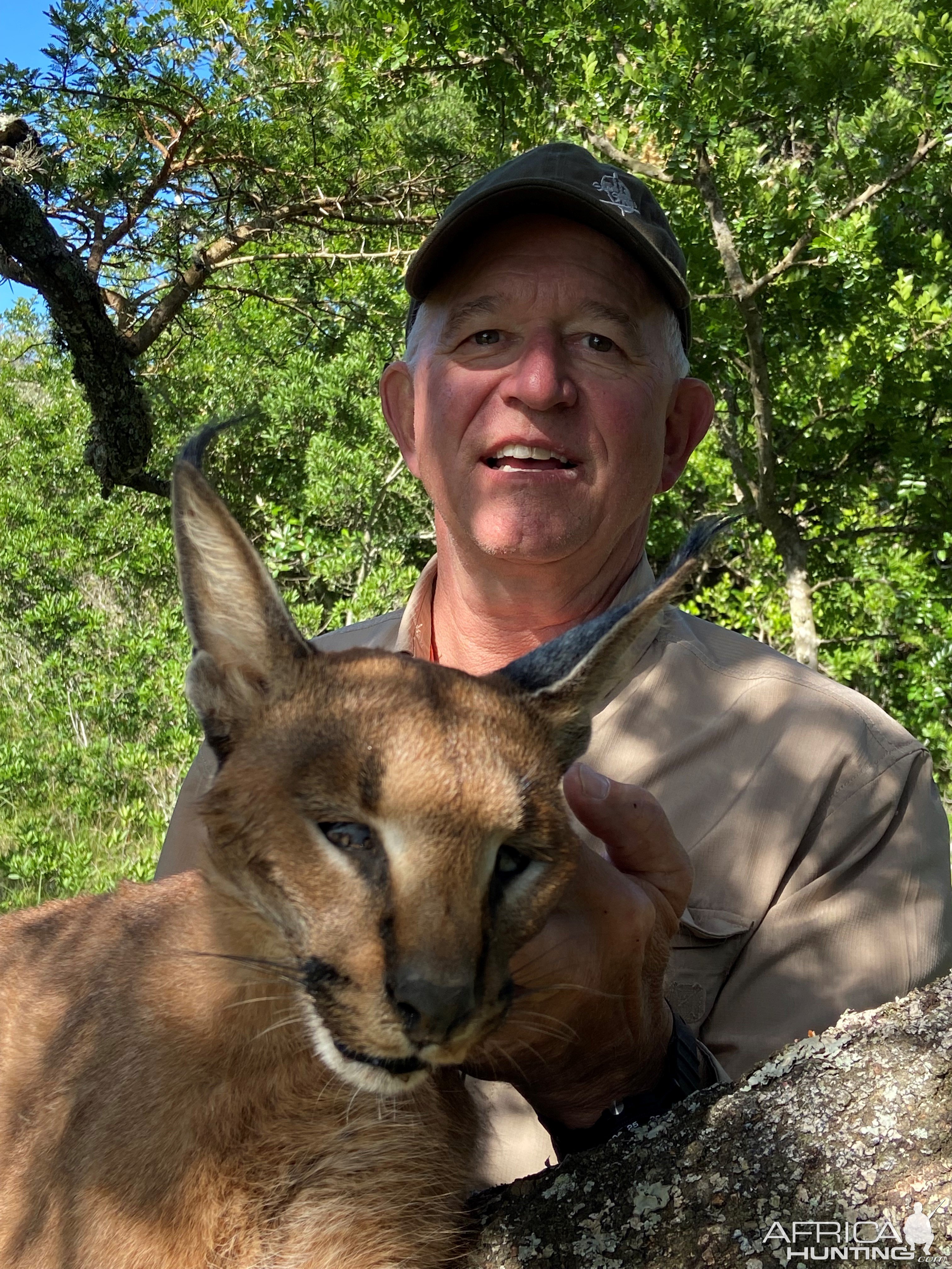 Caracal Hunt Eastern Cape South Africa