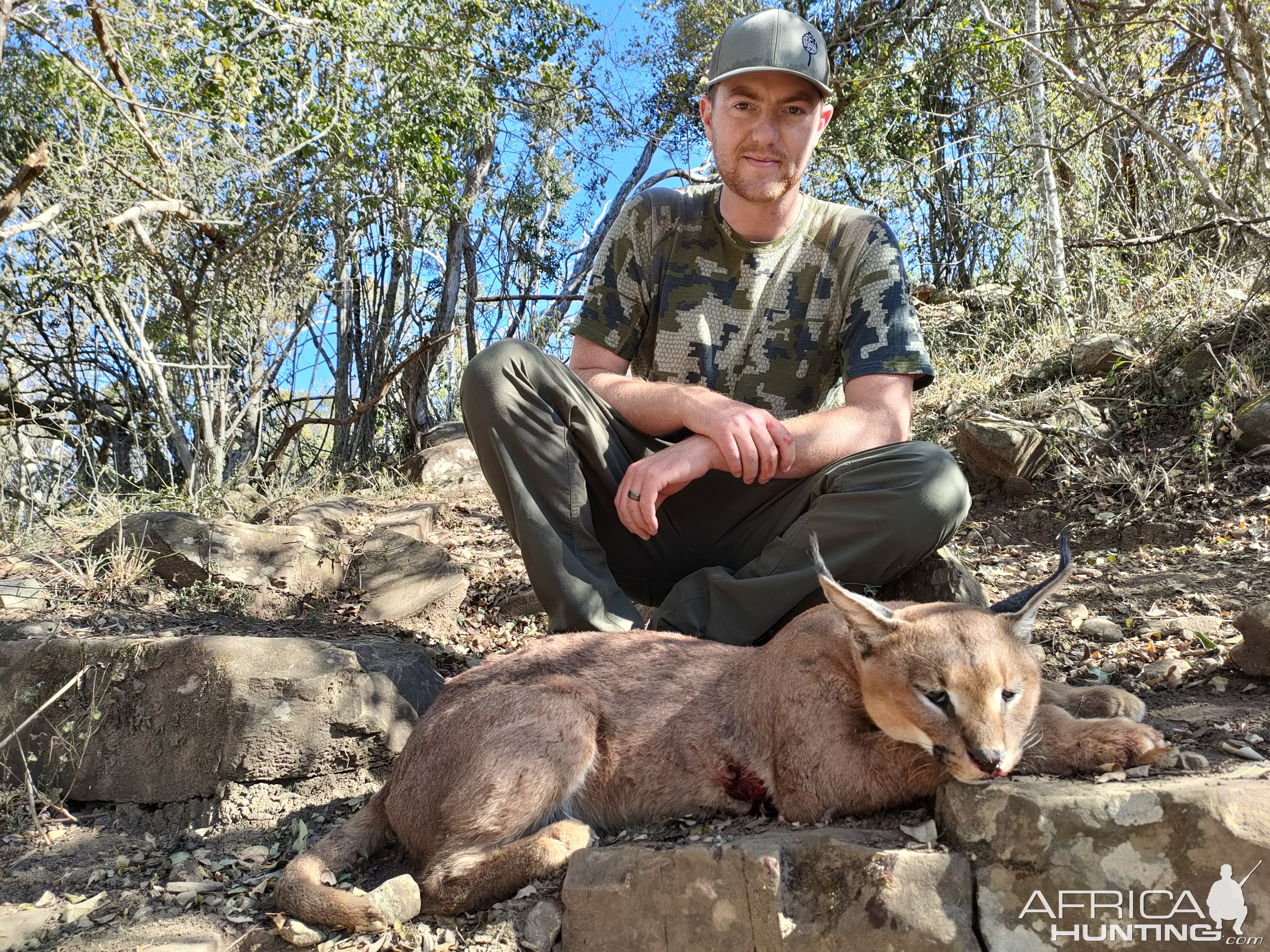 Caracal Hunt Eastern Cape South Africa