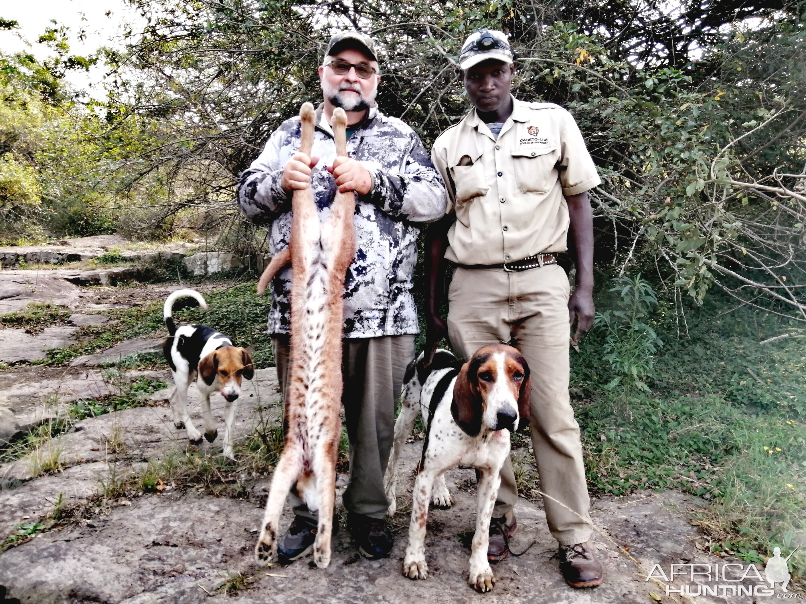 Caracal Hunt South Africa