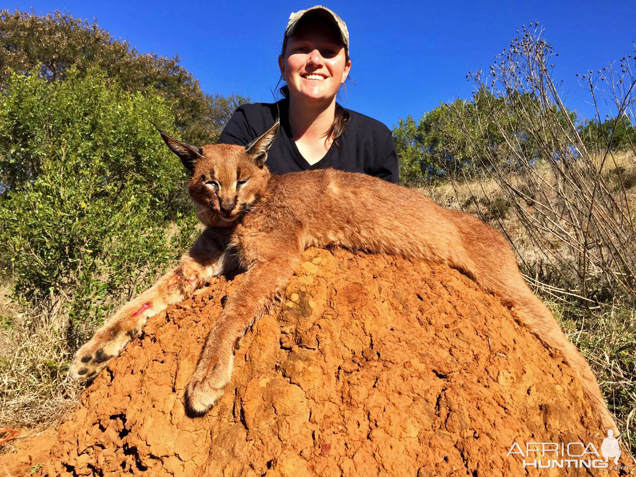 Caracal Hunt South Africa