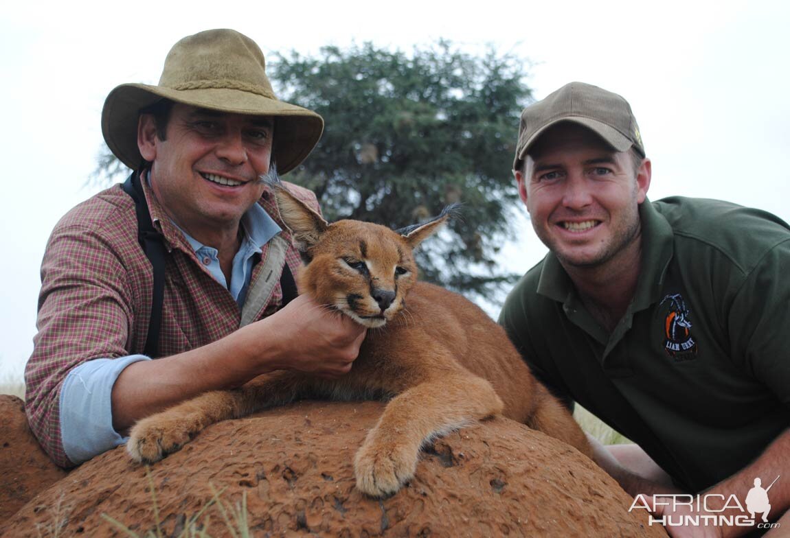 Caracal Hunt South Africa