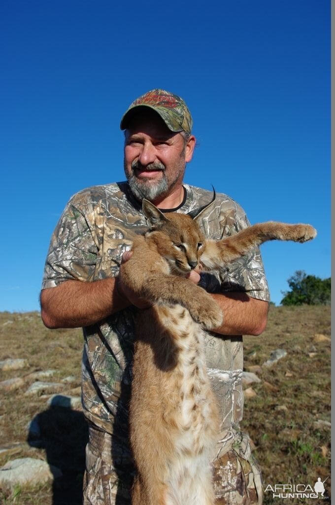 Caracal Hunt South Africa