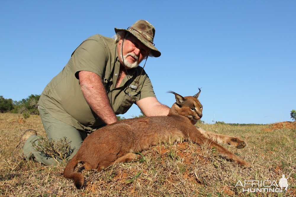 Caracal Hunt South Africa