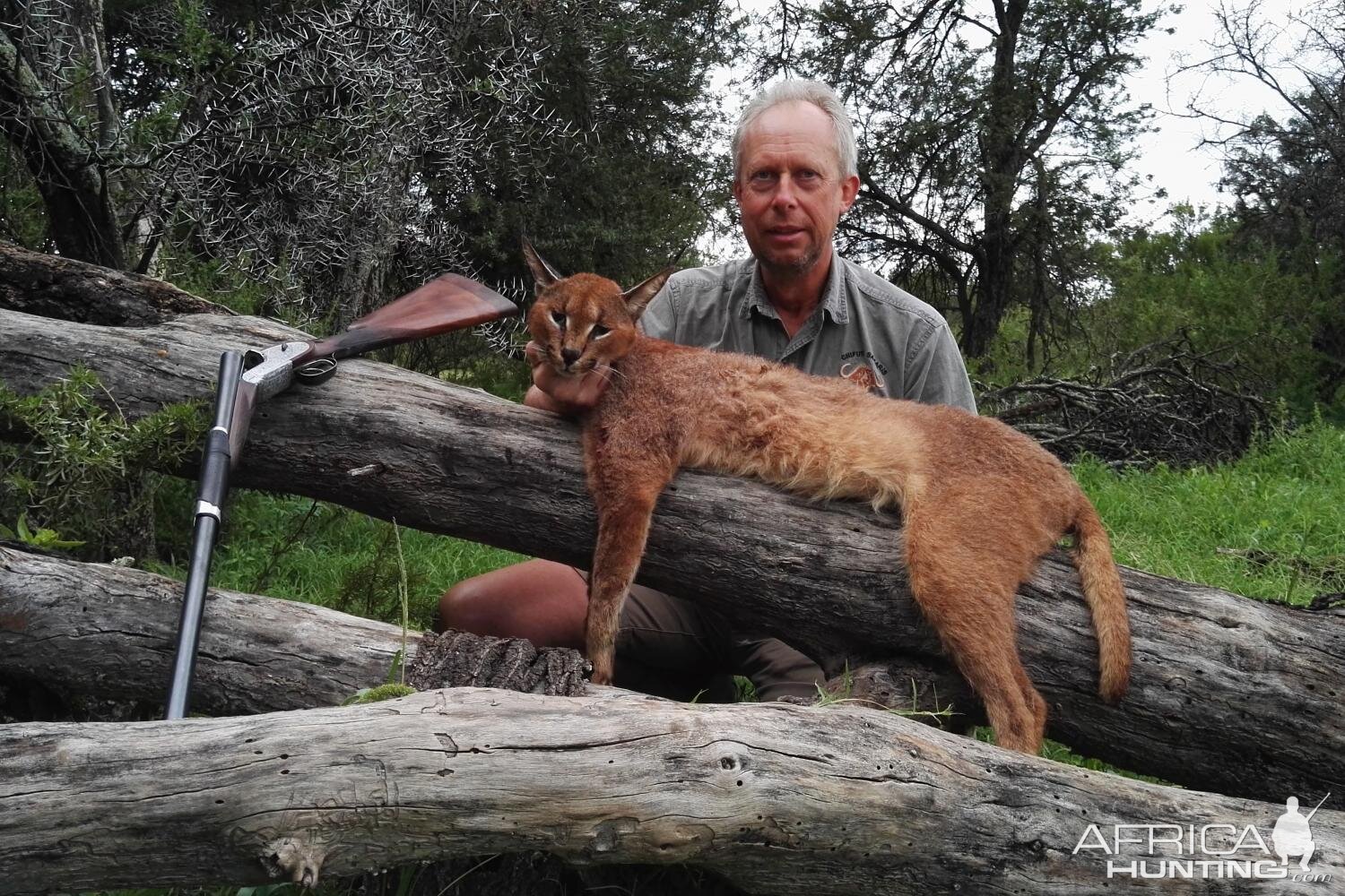 Caracal Hunt South Africa