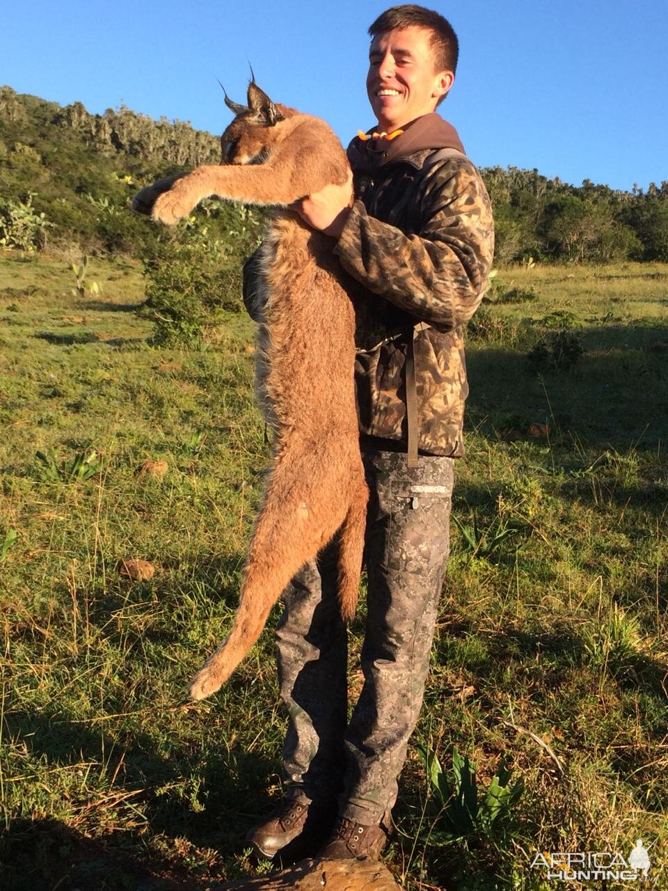 Caracal Hunt South Africa