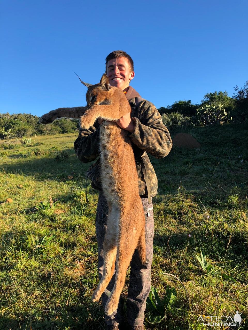 Caracal Hunt South Africa