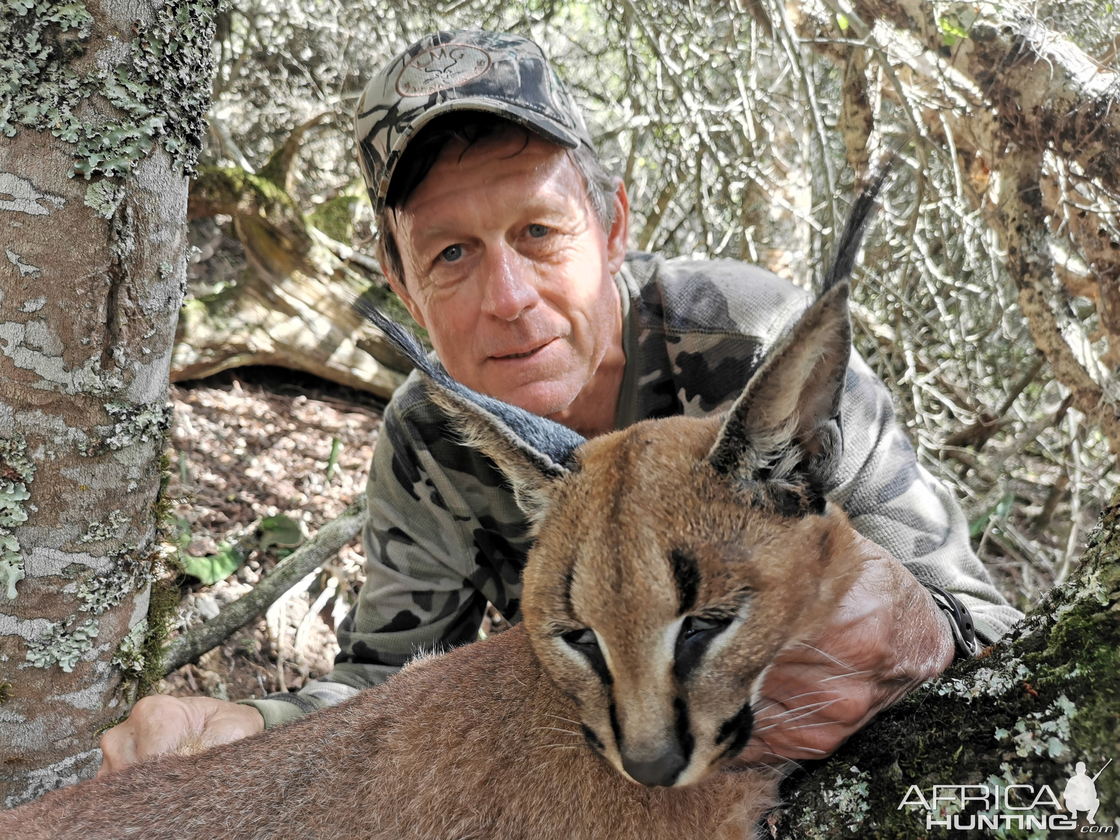 Caracal Hunt