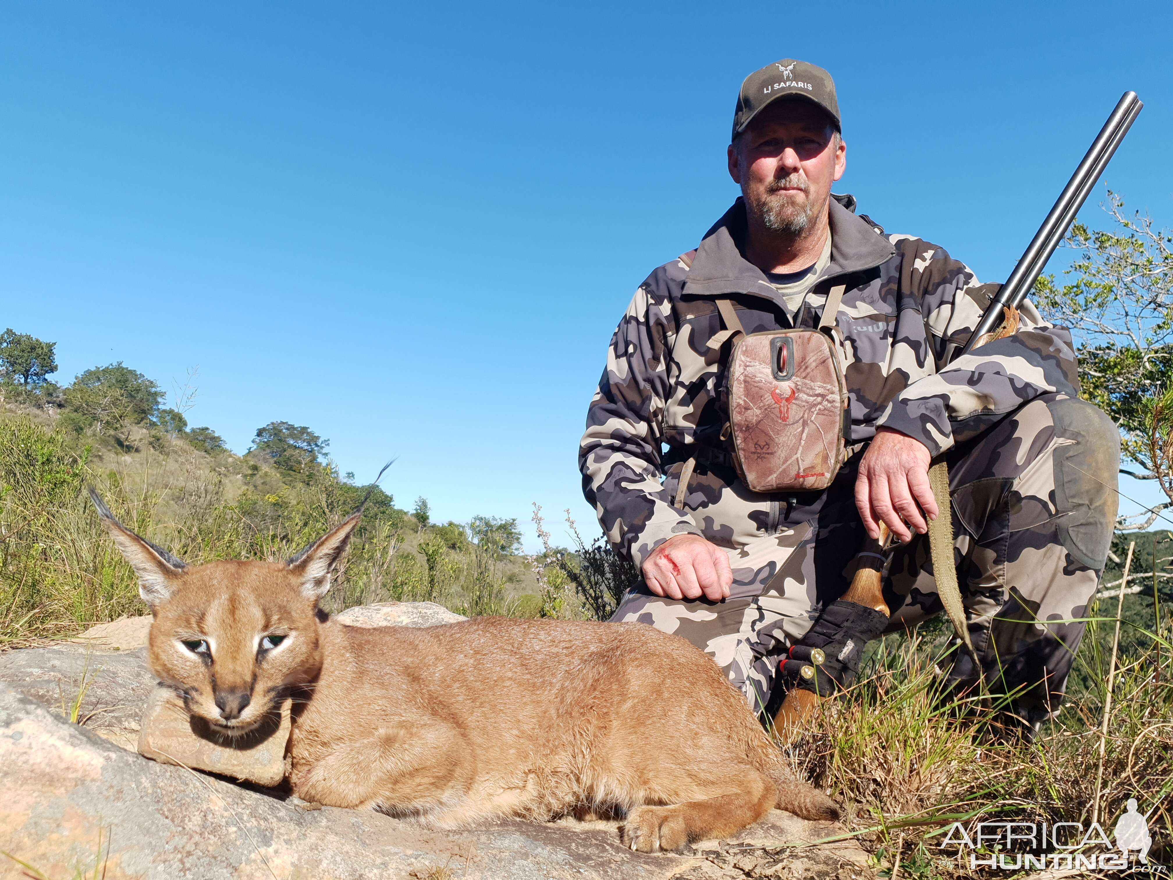 Caracal Hunting Eastern Cape South Africa