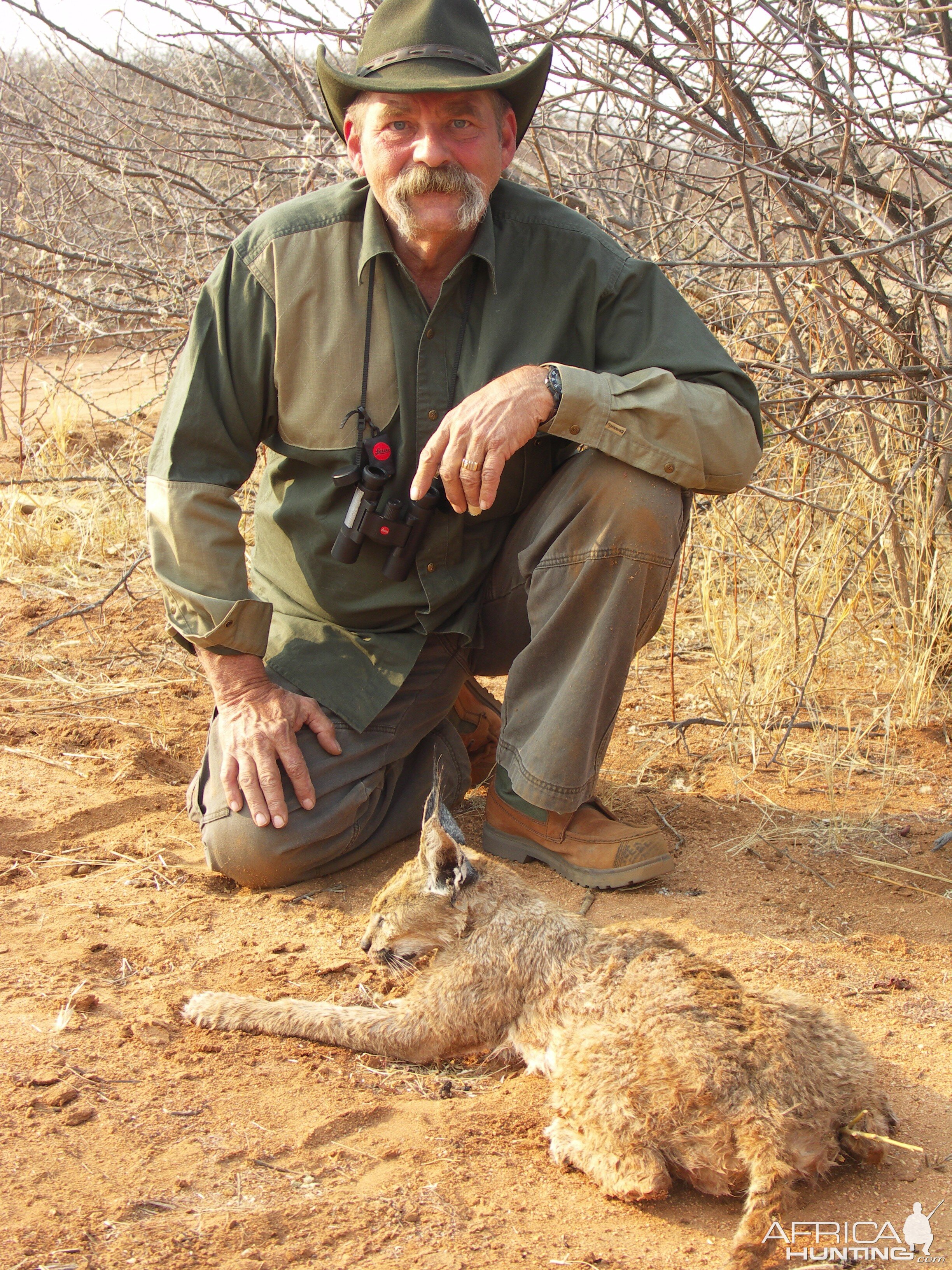 Caracal Hunting in Namibia