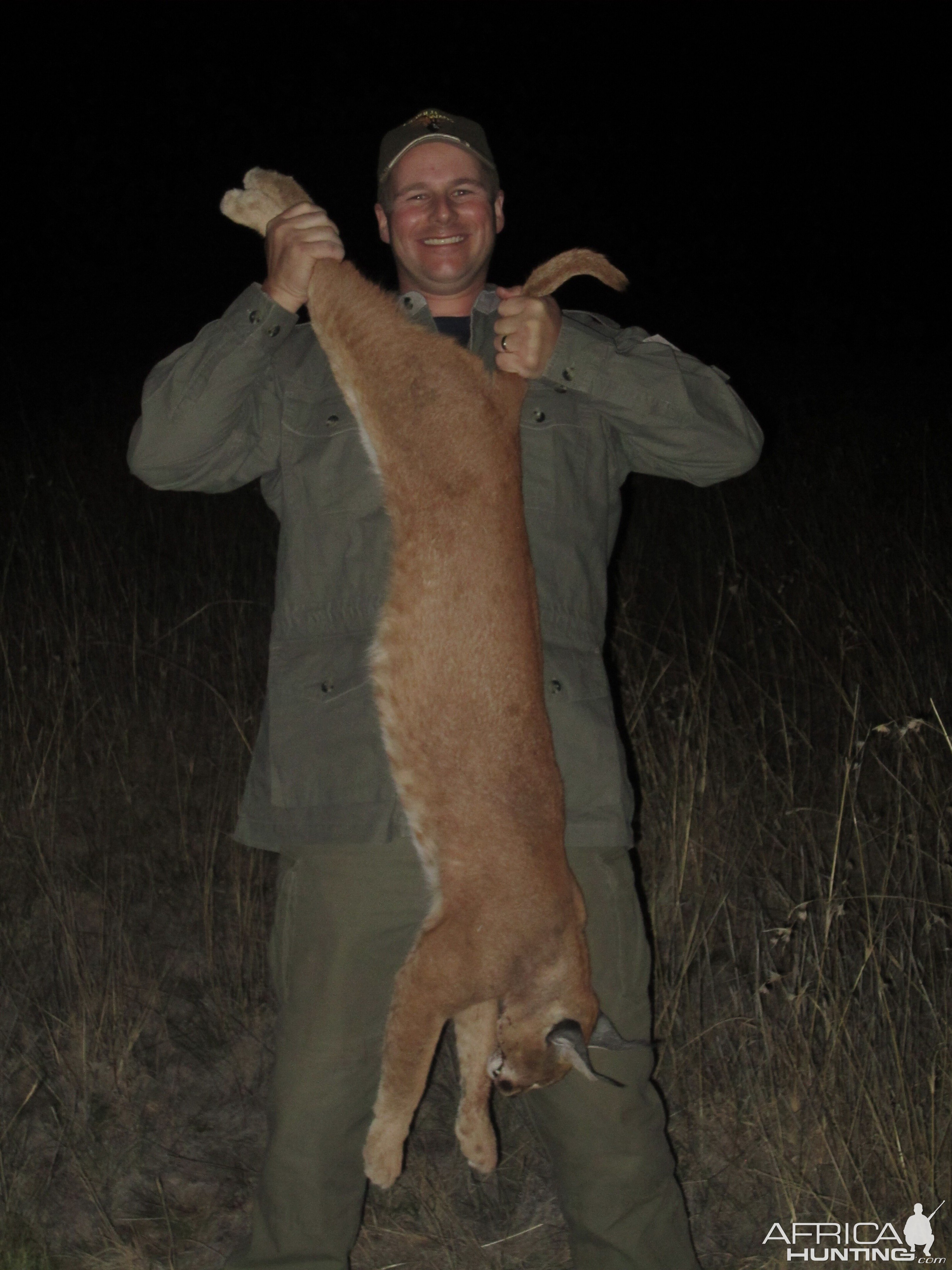 Caracal Hunting South Africa