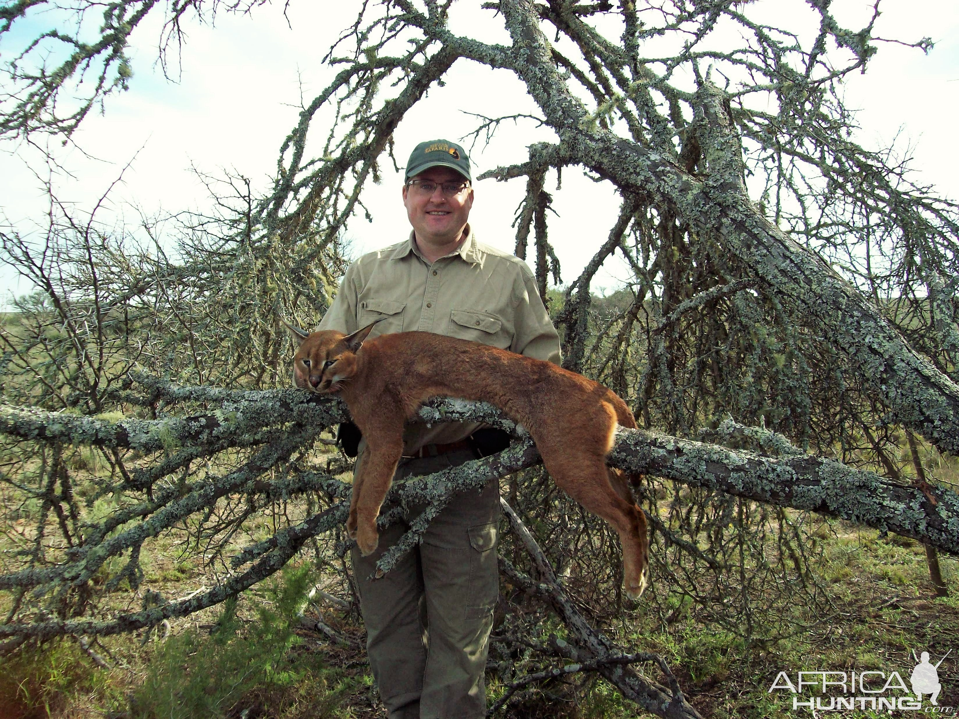 Caracal Hunting South Africa