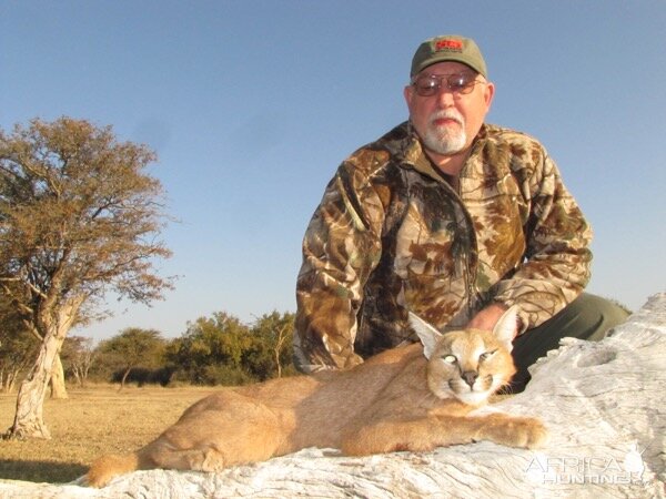 Caracal Hunting South Africa