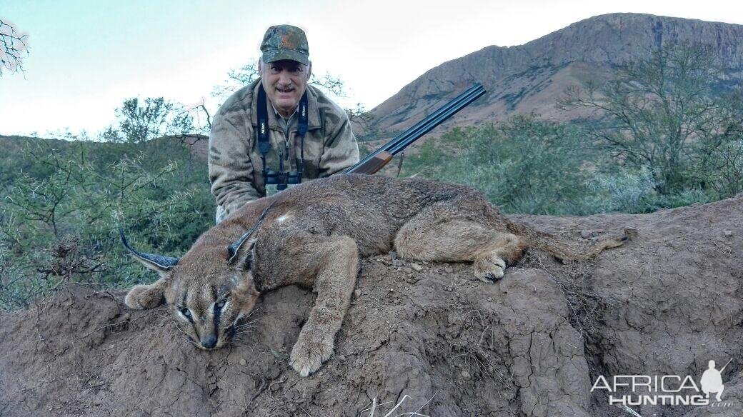 Caracal Hunting South Africa