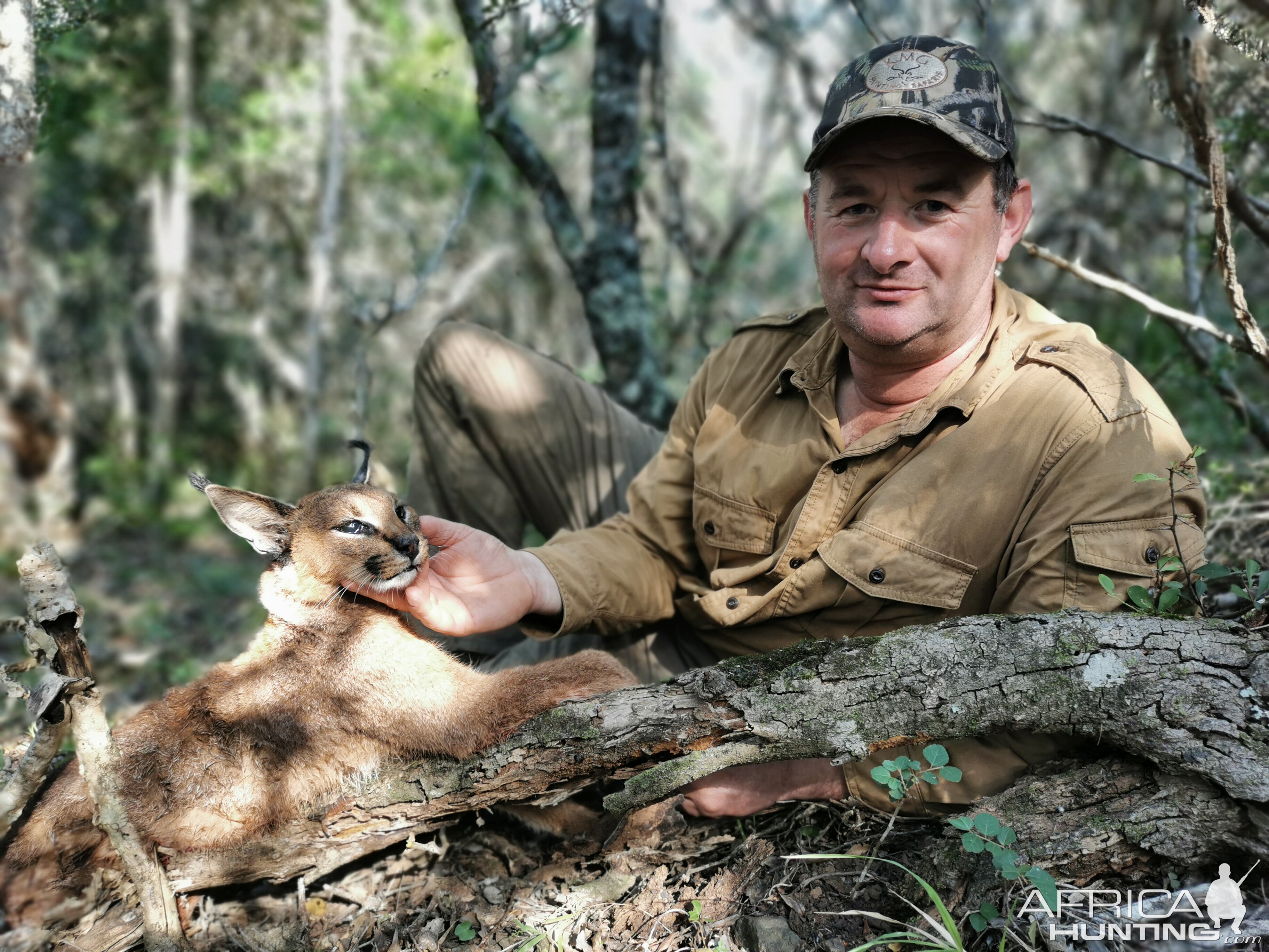 Caracal Hunting South Africa