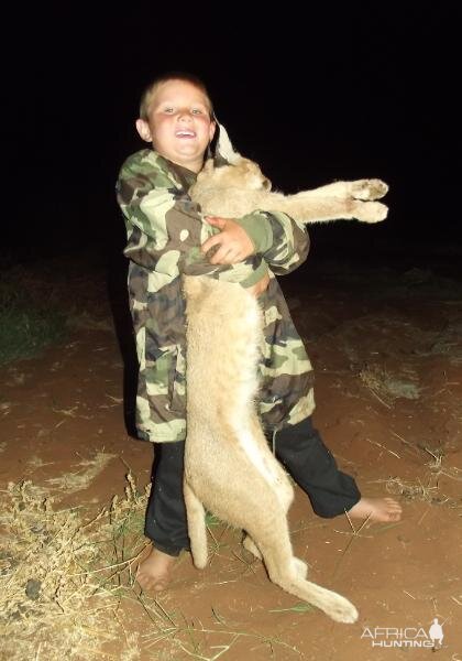 Caracal Hunting Sunset Safaris