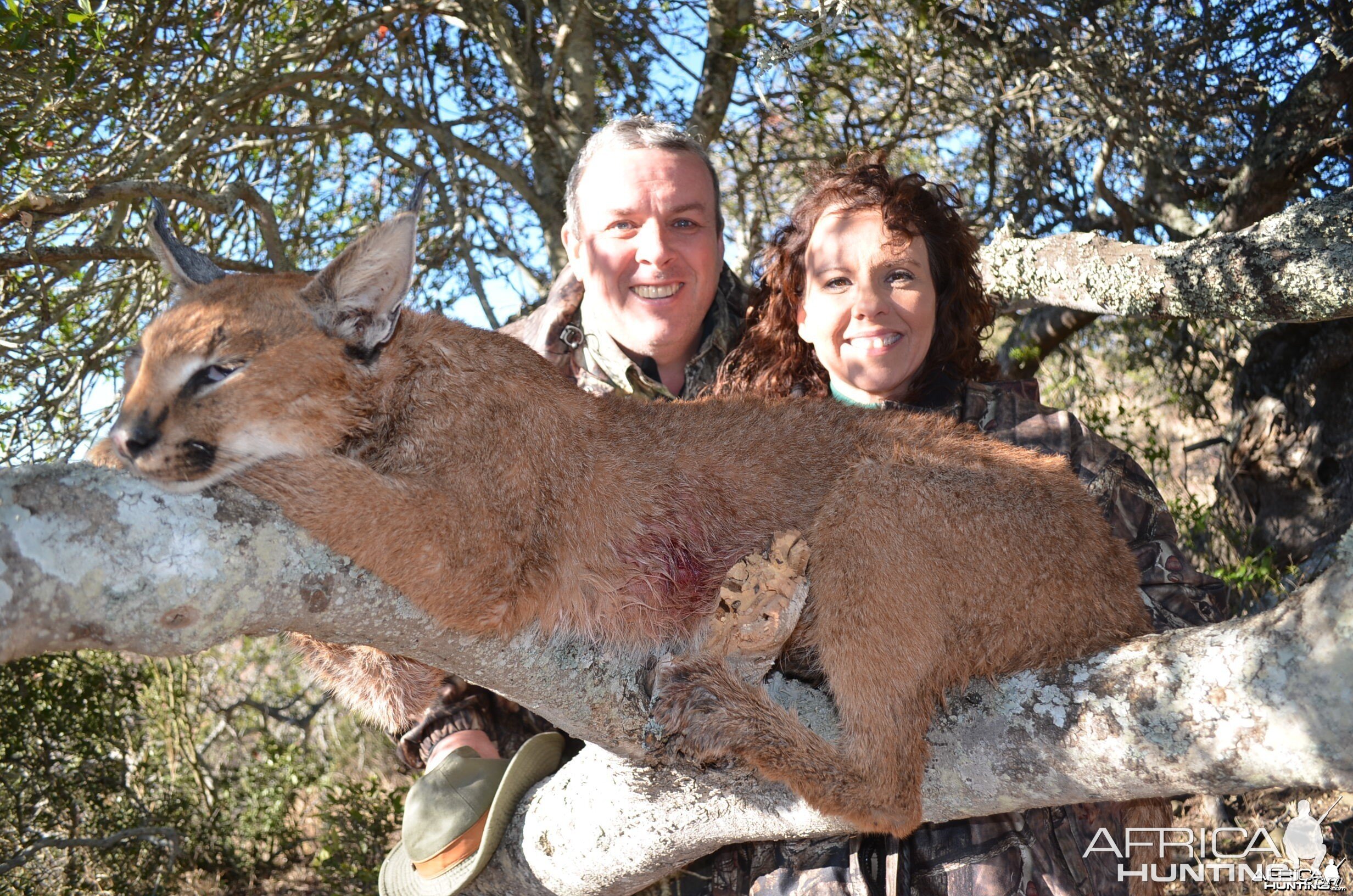 Caracal KMG Hunting Safaris